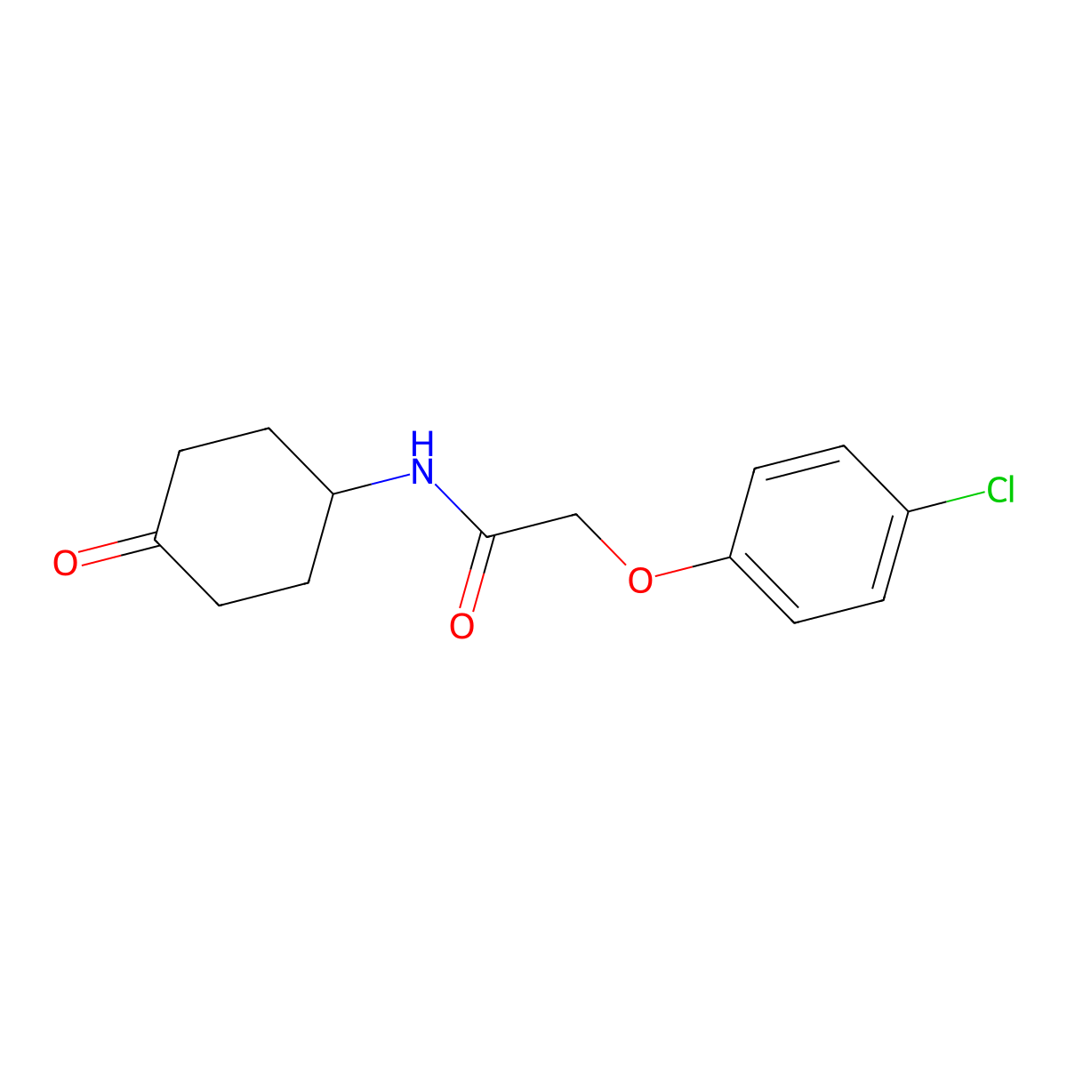 2-(4-chlorophenoxy)-N-(4-oxocyclohexyl)acetamide molecular structure, CAS 1154207-16-5
