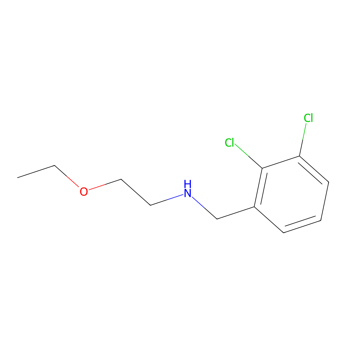 [(2,3-Dichlorophenyl)methyl](2-ethoxyethyl)amine molecular structure, CAS 1154253-84-5
