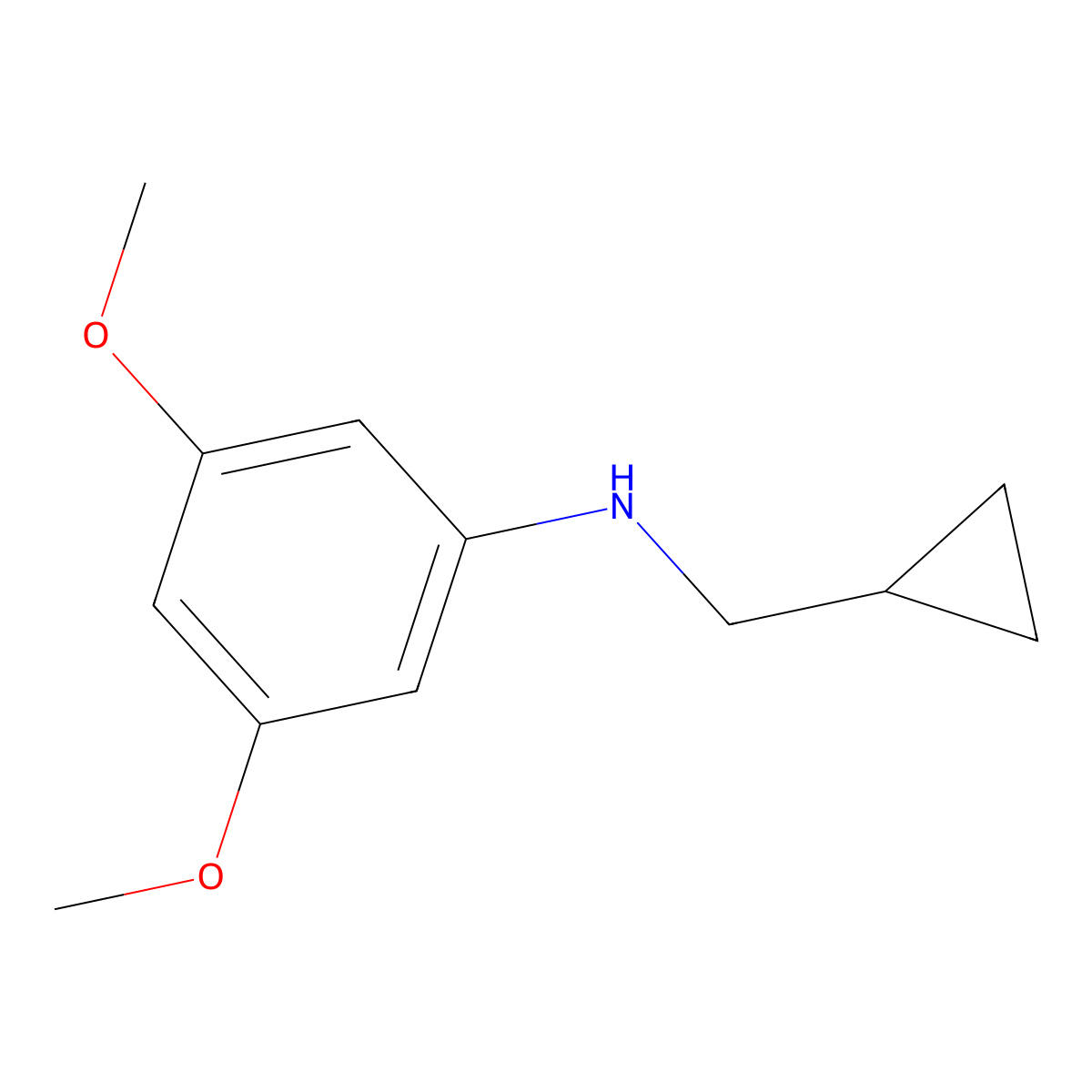 N-(cyclopropylmethyl)-3,5-dimethoxyaniline molecular structure, CAS 1154342-46-7
