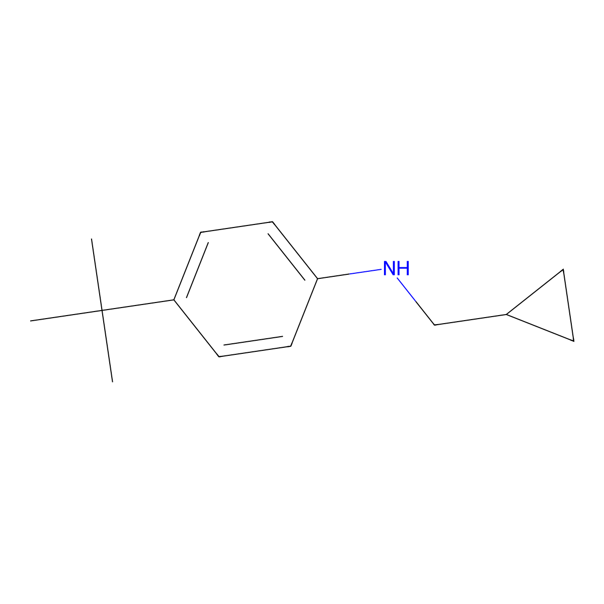 4-tert-butyl-N-(cyclopropylmethyl)aniline molecular structure, CAS 1154342-76-3