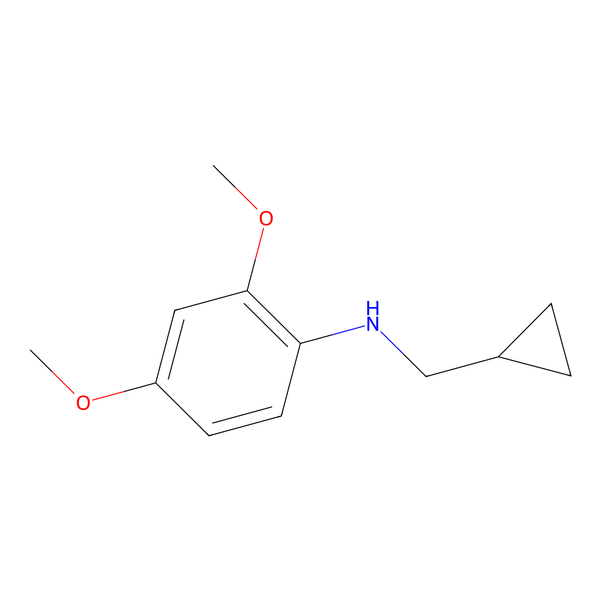 N-(cyclopropylmethyl)-2,4-dimethoxyaniline molecular structure, CAS 1154342-81-0