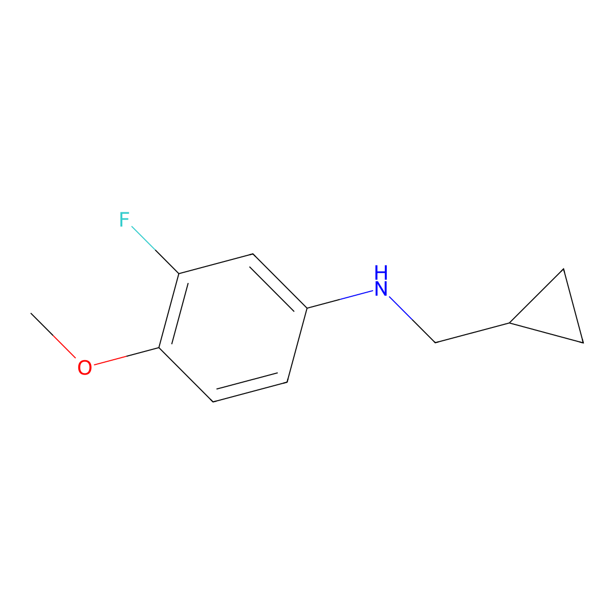 N-(cyclopropylmethyl)-3-fluoro-4-methoxyaniline molecular structure, CAS 1154385-82-6