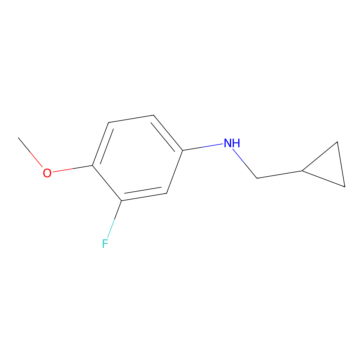 N-(cyclopropylmethyl)-3-fluoro-4-methoxyaniline molecular structure, CAS 1154385-82-6