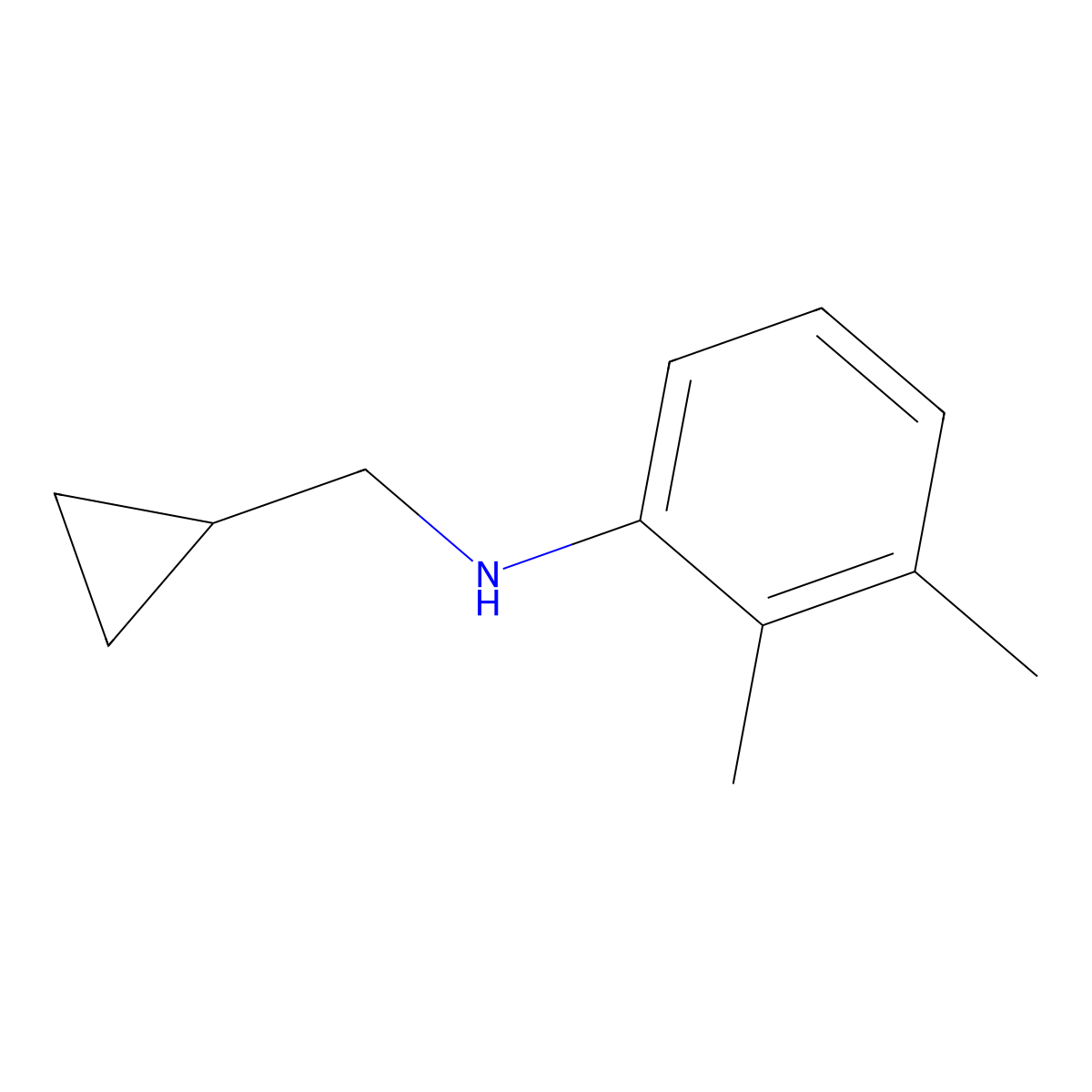 N-(cyclopropylmethyl)-2,3-dimethylaniline molecular structure, CAS 1154386-41-0