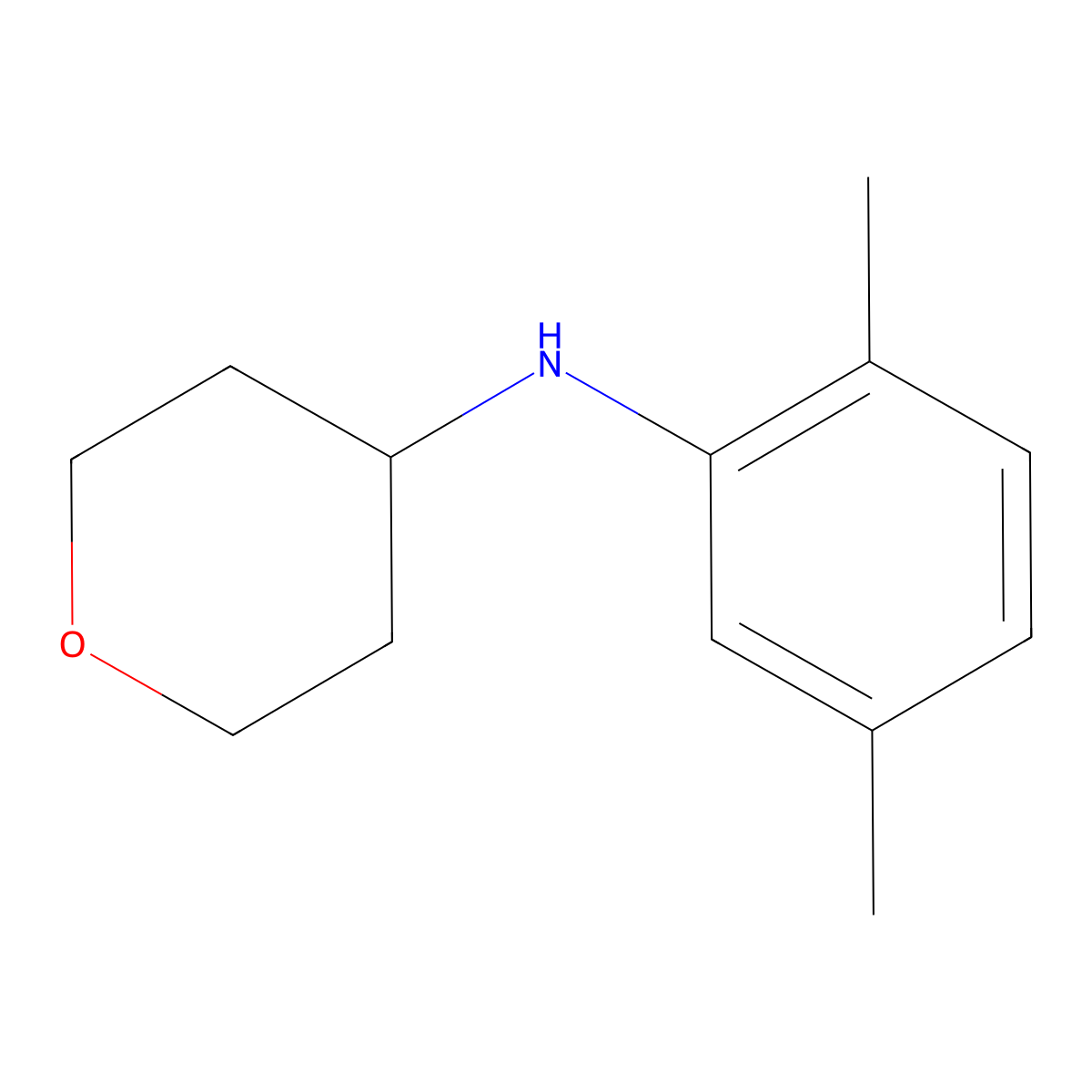 N-(2,5-dimethylphenyl)oxan-4-amine molecular structure, CAS 1154887-79-2