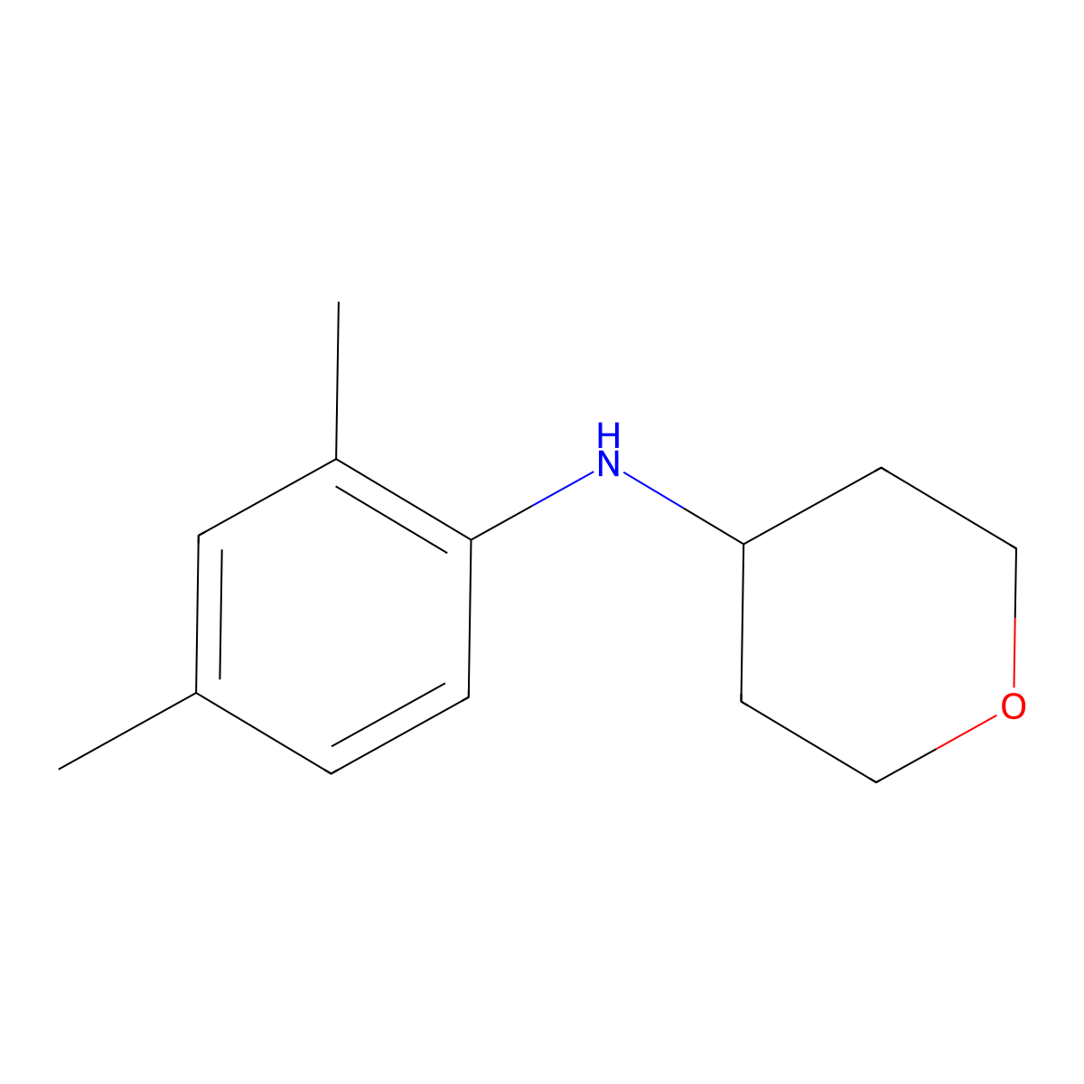 N-(2,4-dimethylphenyl)oxan-4-amine molecular structure, CAS 1155103-06-2