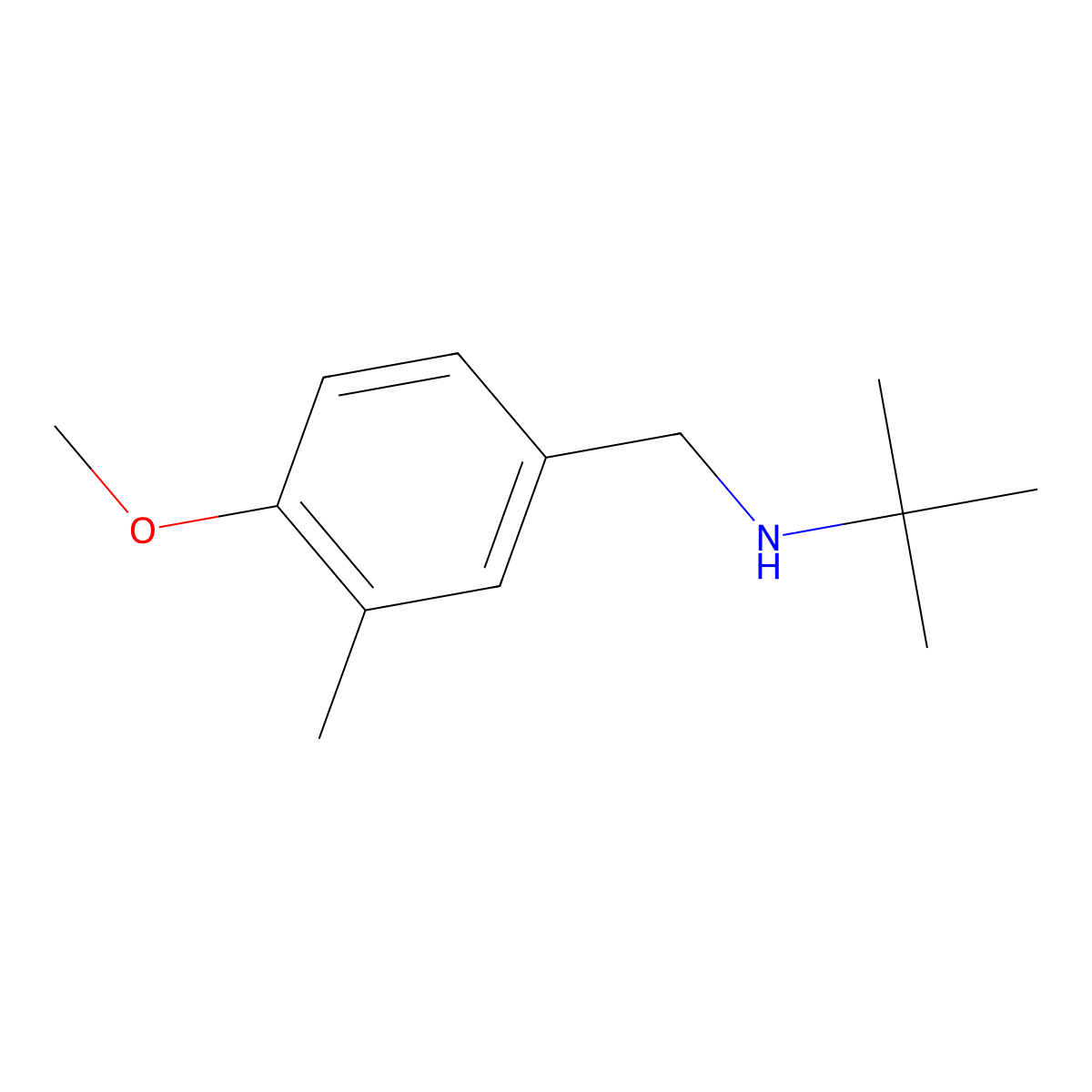 Tert-butyl[(4-methoxy-3-methylphenyl)methyl]amine molecular structure, CAS 1155171-69-9