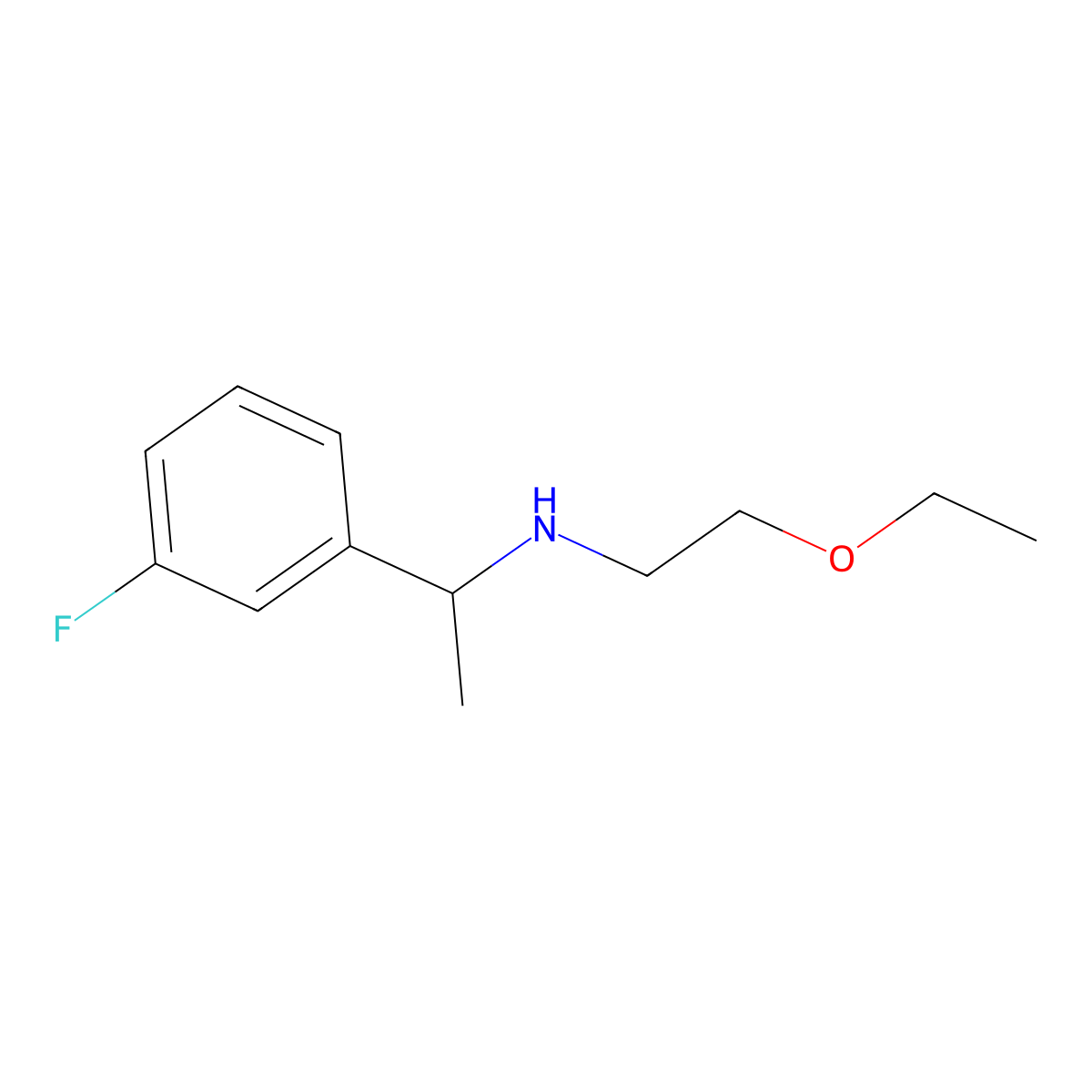 (2-Ethoxyethyl)[1-(3-fluorophenyl)ethyl]amine molecular structure, CAS 1155909-83-3