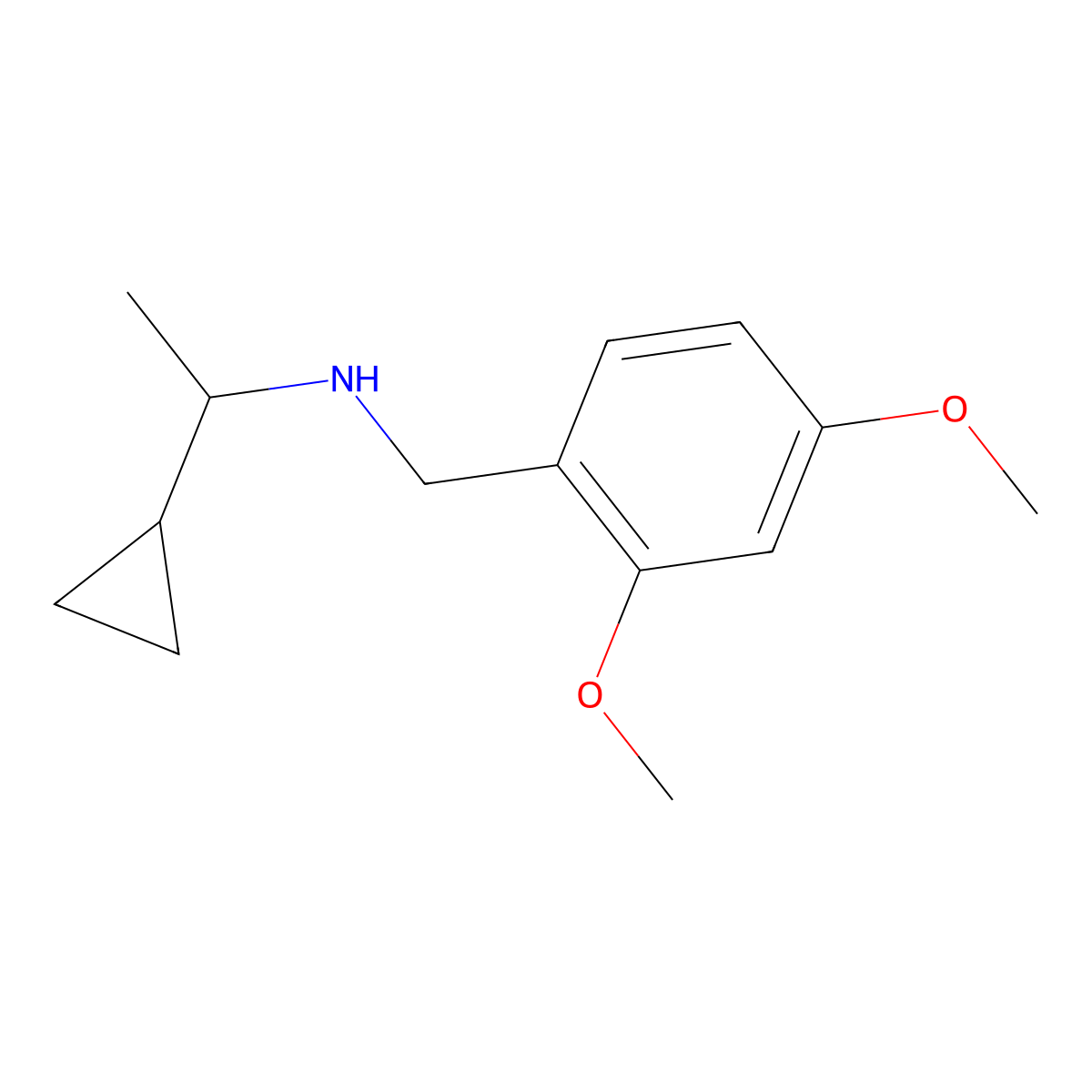 (1-Cyclopropylethyl)[(2,4-dimethoxyphenyl)methyl]amine molecular structure, CAS 1155988-21-8