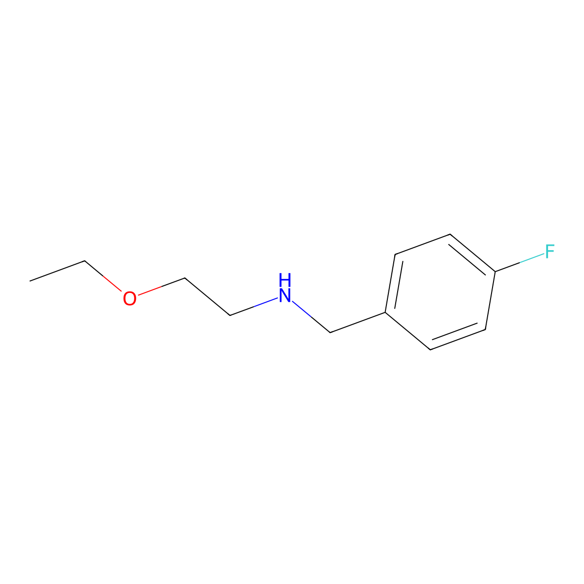 (2-Ethoxyethyl)[(4-fluorophenyl)methyl]amine molecular structure, CAS 1156118-26-1