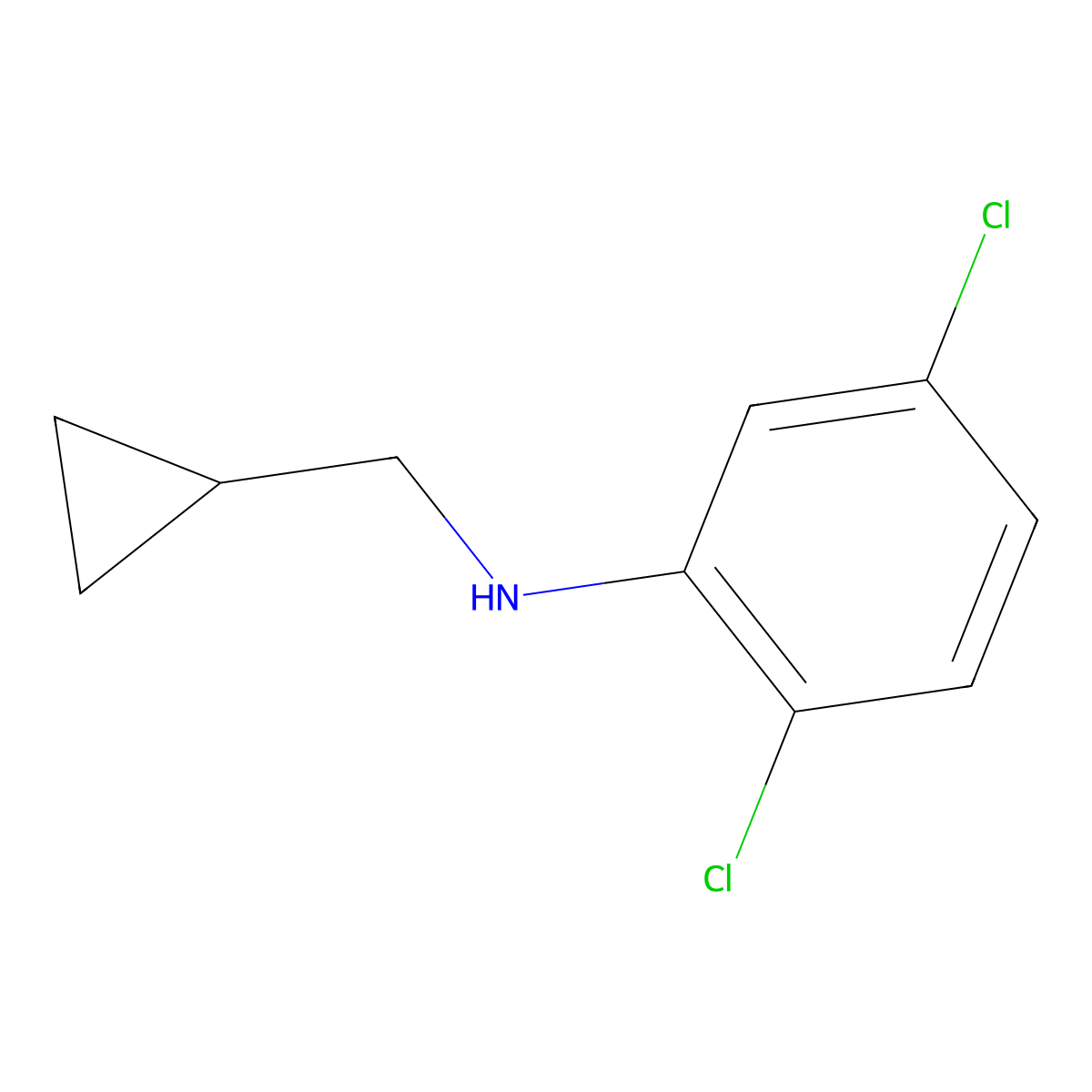 2,5-dichloro-N-(cyclopropylmethyl)aniline molecular structure, CAS 1156170-71-6