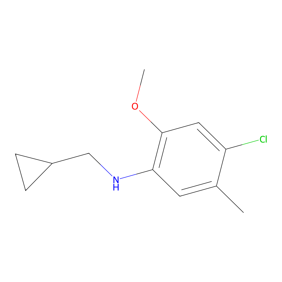 4-chloro-N-(cyclopropylmethyl)-2-methoxy-5-methylaniline molecular structure, CAS 1156171-15-1