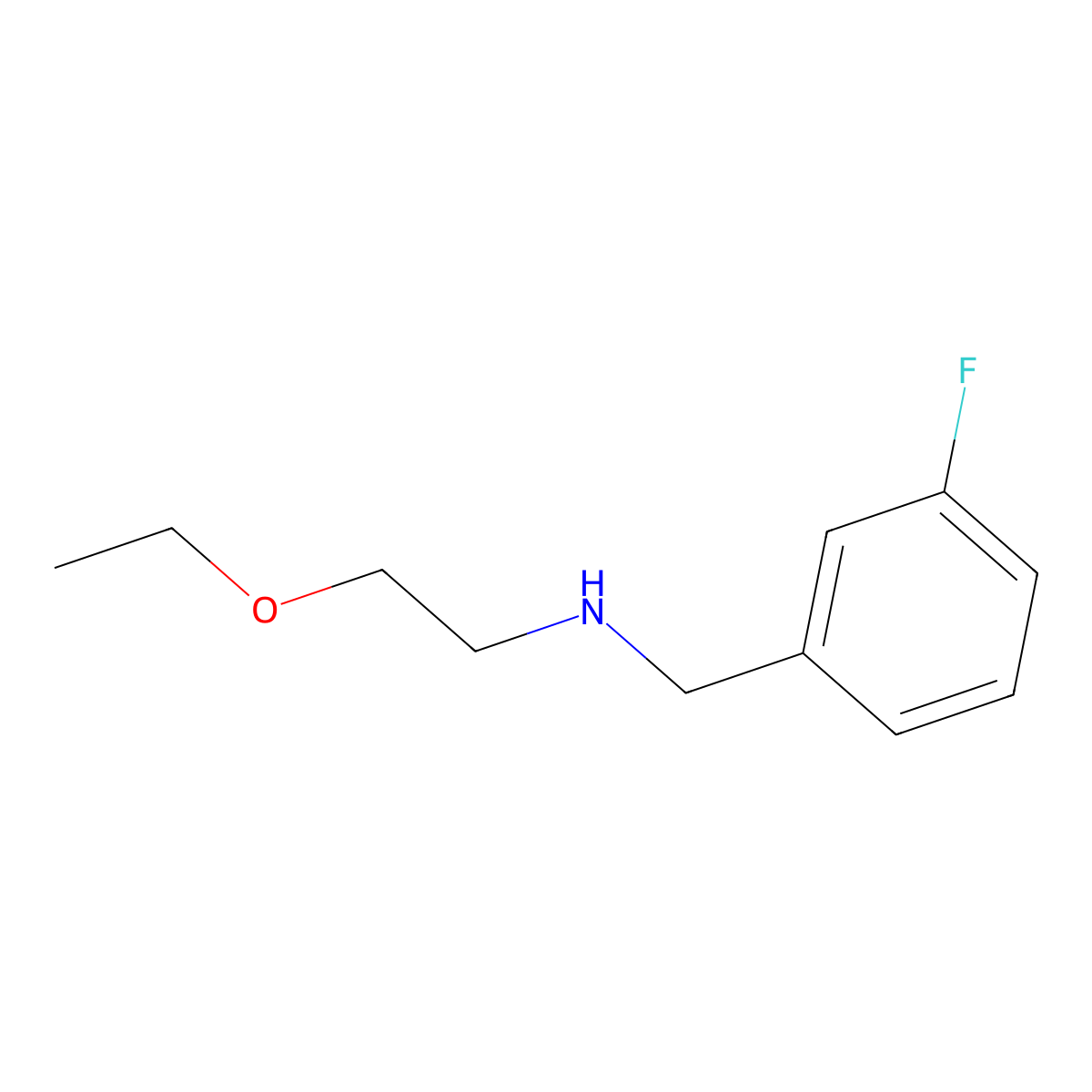 (2-Ethoxyethyl)[(3-fluorophenyl)methyl]amine molecular structure, CAS 1156386-01-4