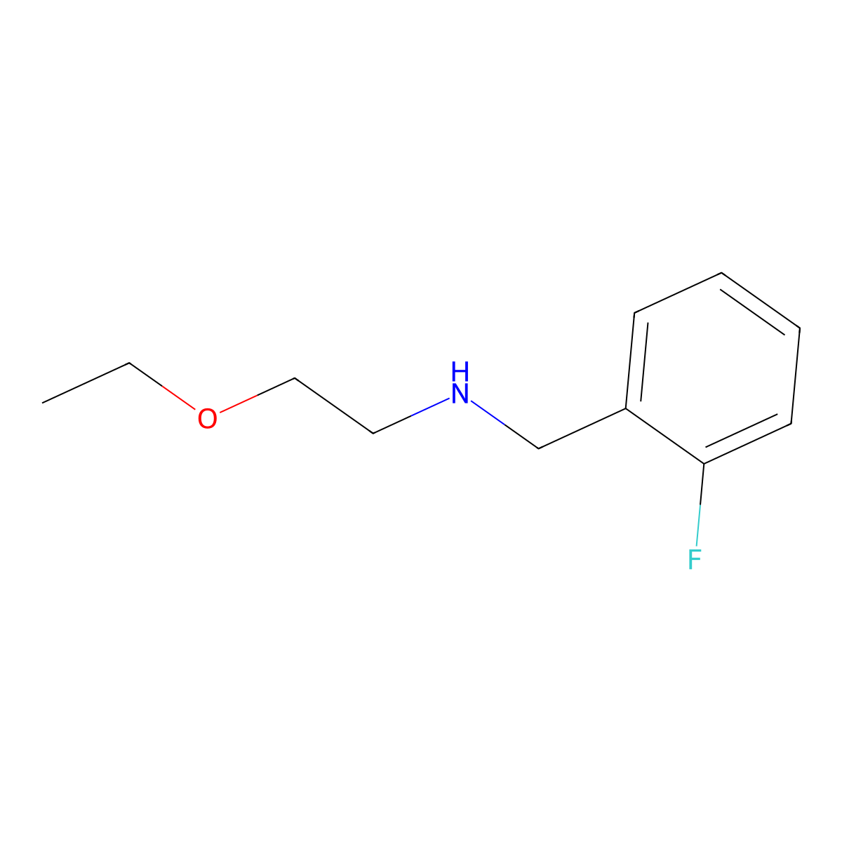 (2-Ethoxyethyl)[(2-fluorophenyl)methyl]amine molecular structure, CAS 1156425-23-8
