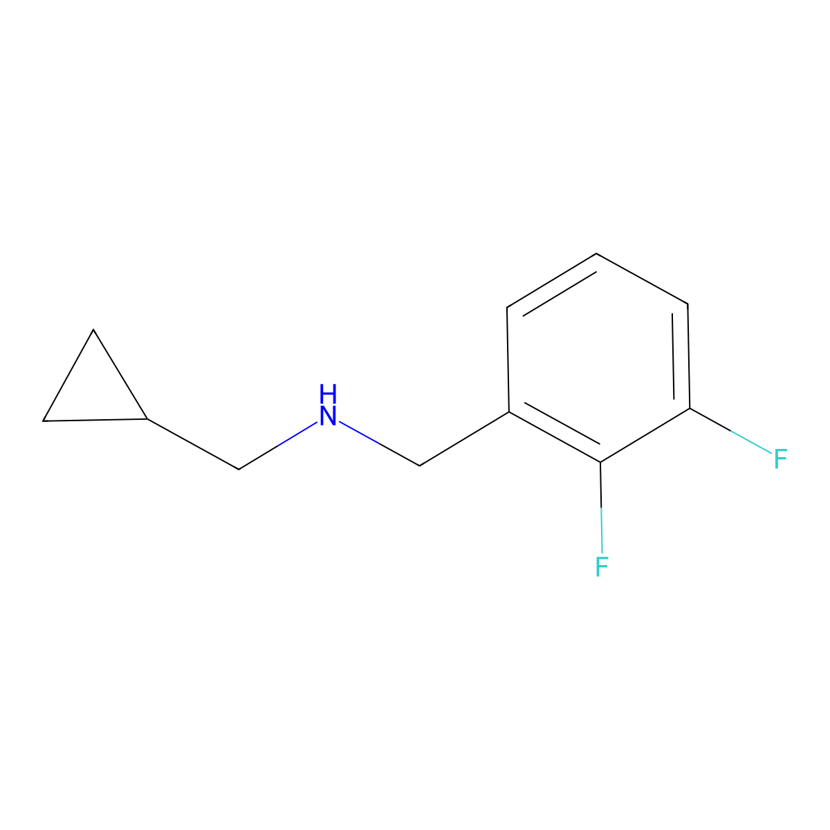 (Cyclopropylmethyl)[(2,3-difluorophenyl)methyl]amine molecular structure, CAS 1156587-74-4