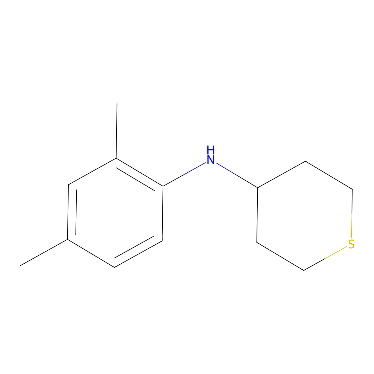 N-(2,4-dimethylphenyl)thian-4-amine molecular structure, CAS 1156599-01-7