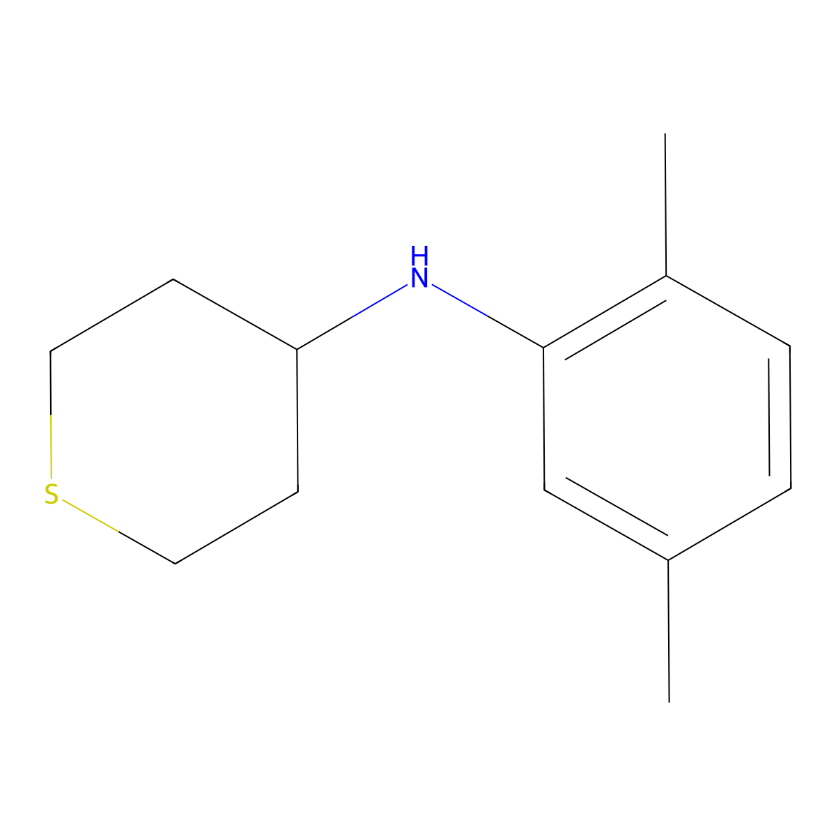 N-(2,5-dimethylphenyl)thian-4-amine molecular structure, CAS 1156600-77-9