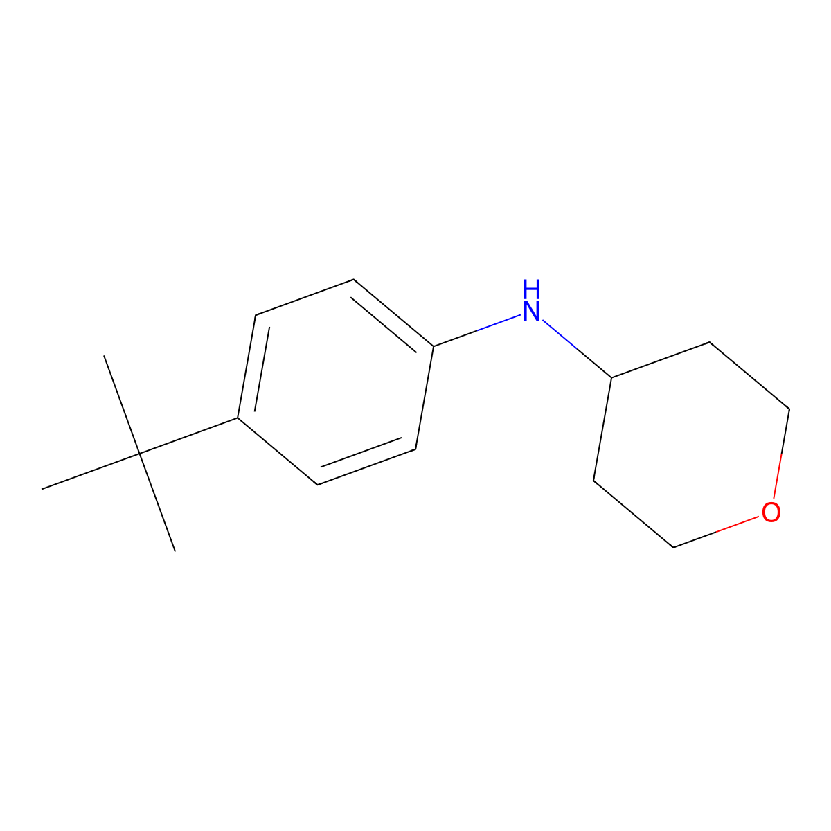 N-(4-(tert-butyl)phenyl)tetrahydro-2H-pyran-4-amine molecular structure, CAS 1156838-25-3
