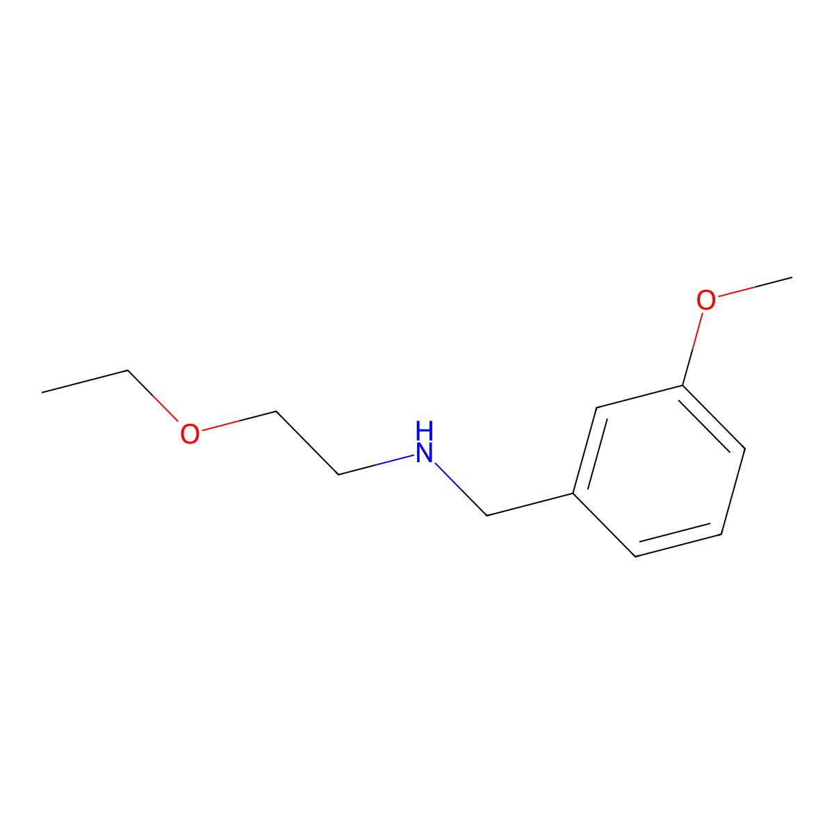 (2-Ethoxyethyl)[(3-methoxyphenyl)methyl]amine molecular structure, CAS 1156850-82-6