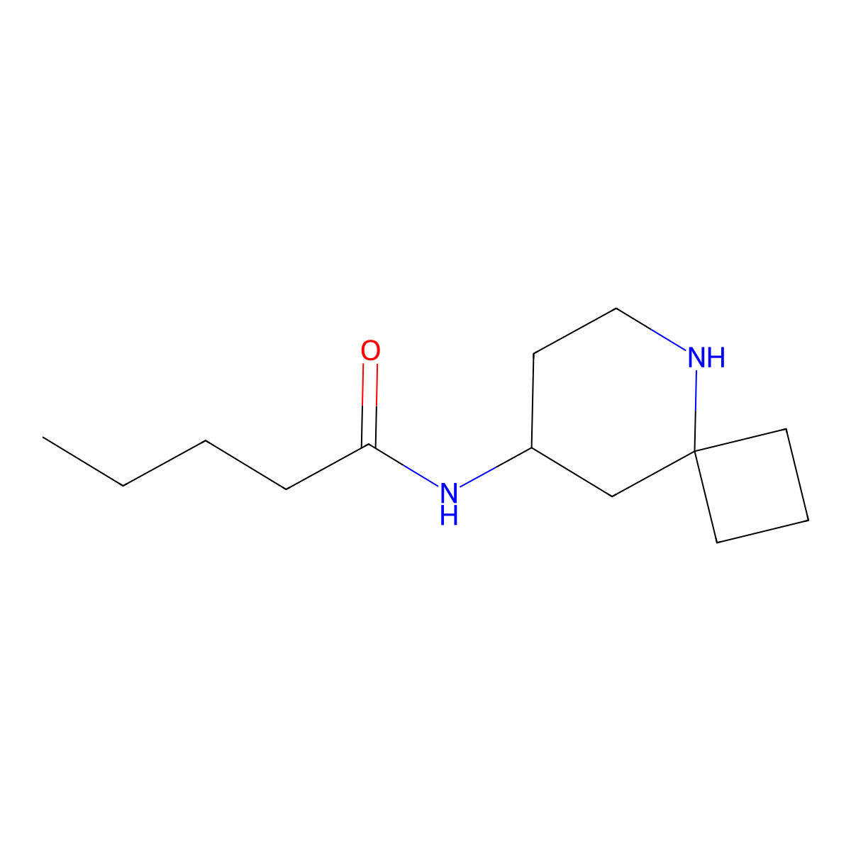 N-{5-azaspiro[3.5]nonan-8-yl}pentanamide molecular structure, CAS 1156921-58-2