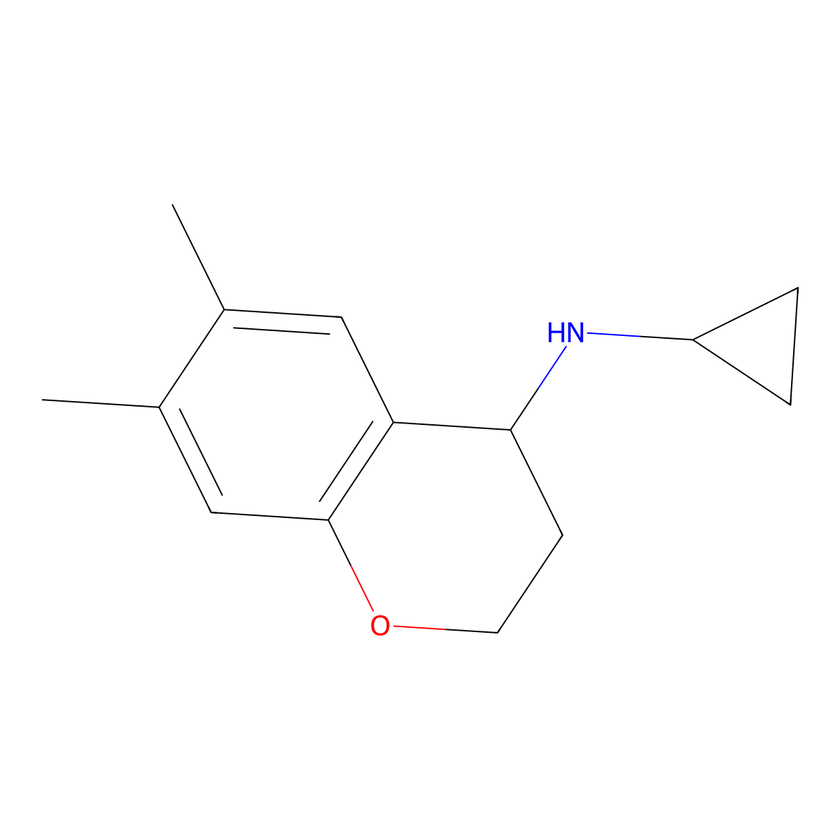N-cyclopropyl-6,7-dimethyl-3,4-dihydro-2H-1-benzopyran-4-amine molecular structure, CAS 1156987-17-5