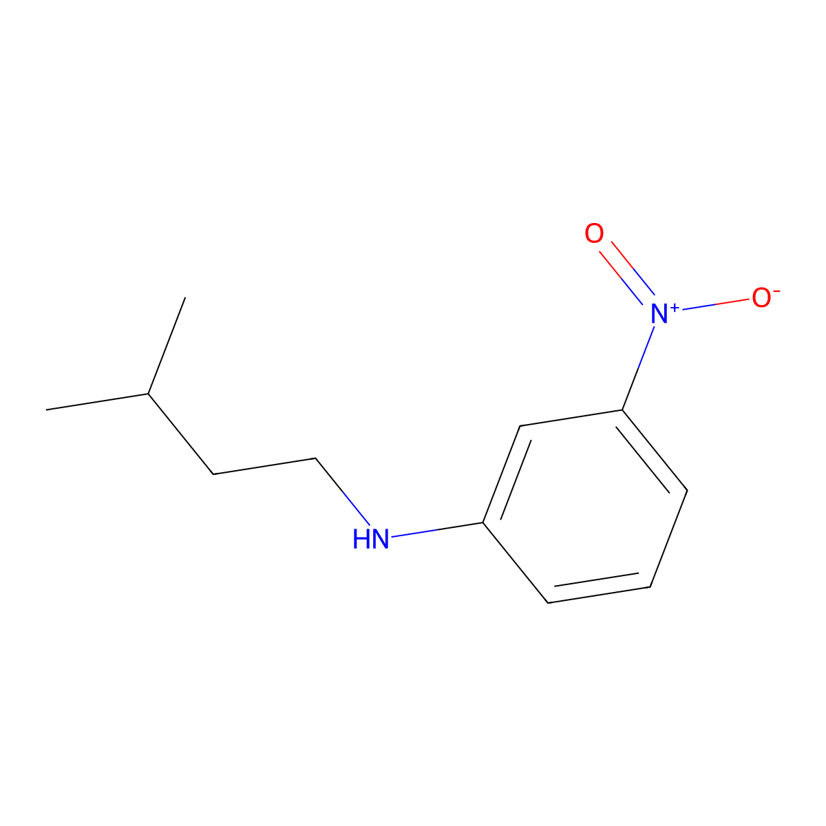 N-(3-methylbutyl)-3-nitroaniline molecular structure, CAS 1157022-00-8