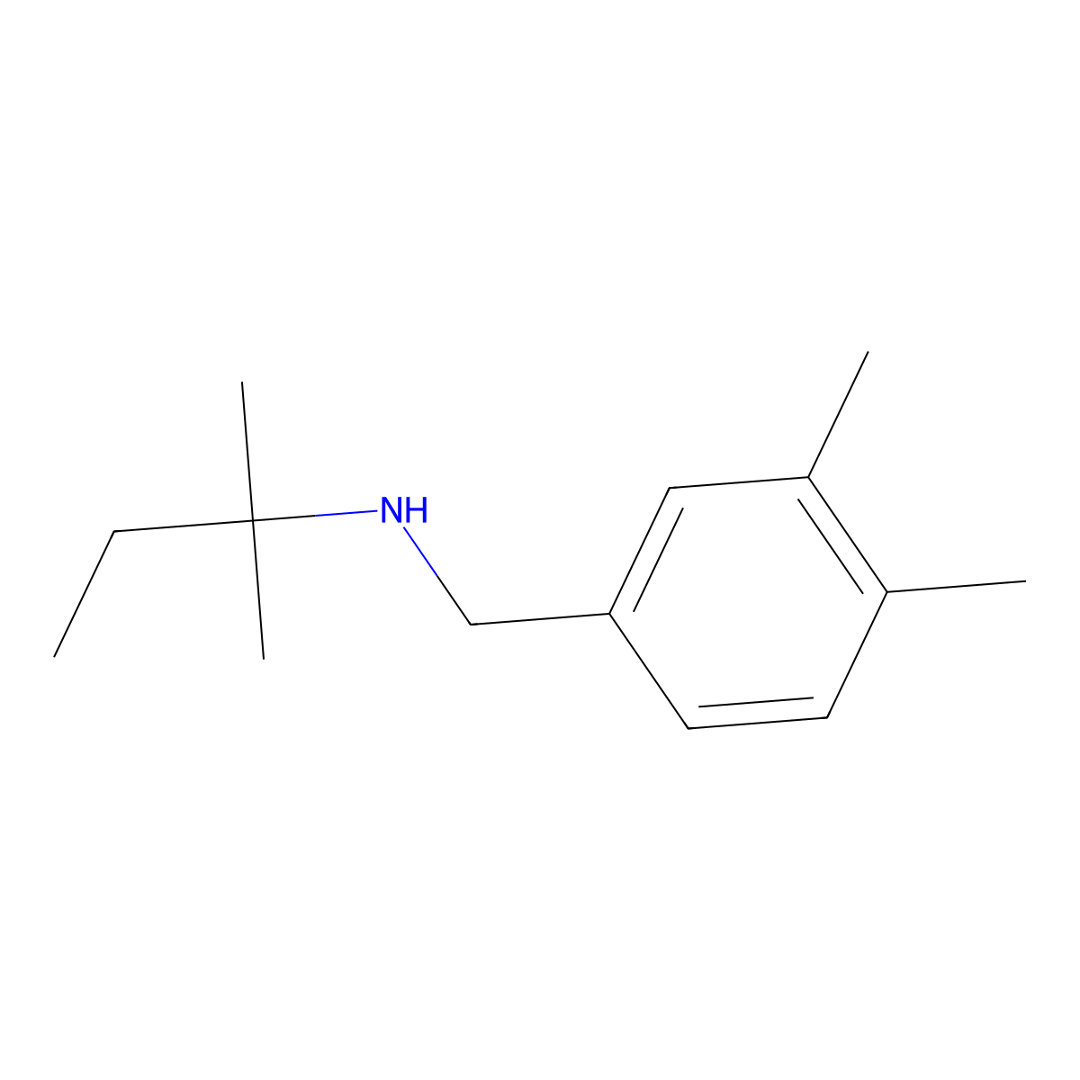 [(3,4-Dimethylphenyl)methyl](2-methylbutan-2-yl)amine molecular structure, CAS 1157349-51-3
