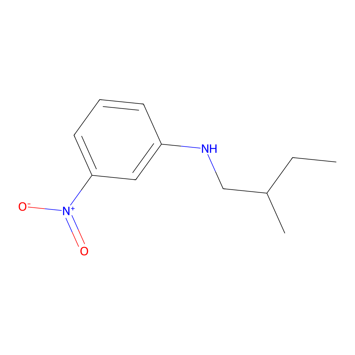 N-(2-methylbutyl)-3-nitroaniline molecular structure, CAS 1157489-62-7