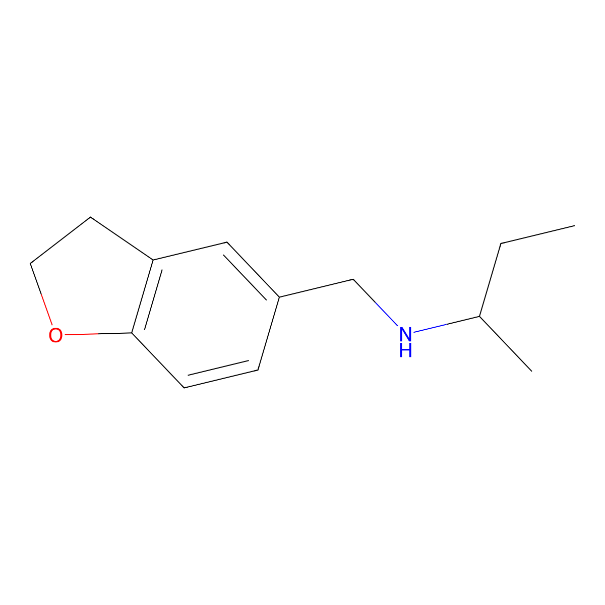 (Butan-2-yl)[(2,3-dihydro-1-benzofuran-5-yl)methyl]amine molecular structure, CAS 1157544-39-2
