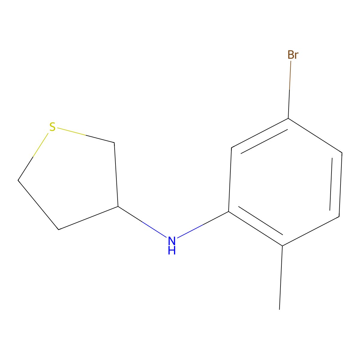 N-(5-bromo-2-methylphenyl)thiolan-3-amine molecular structure, CAS 1157902-86-7