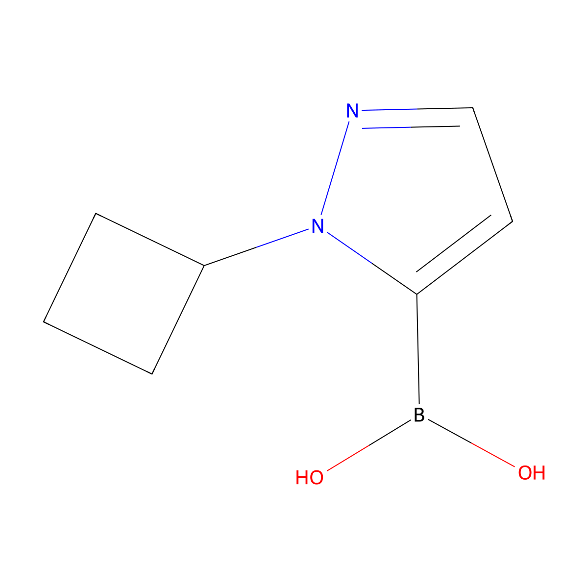 (1-Cyclobutyl-1H-pyrazol-5-yl)boronic acid molecular structure, CAS 1162643-28-8