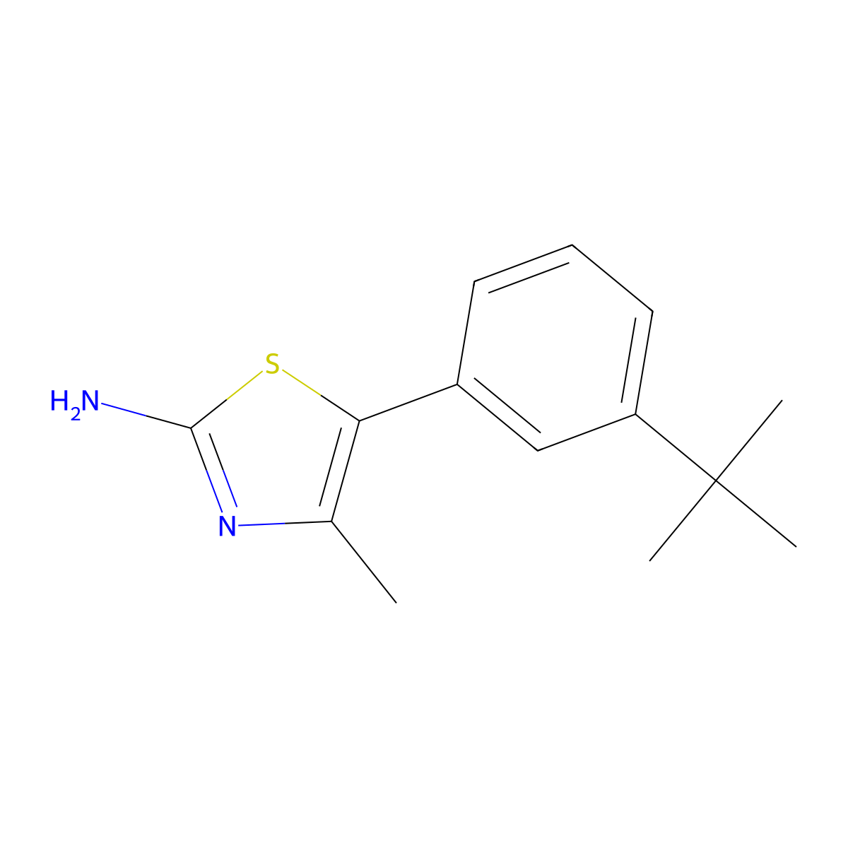 5-(3-Tert-butylphenyl)-4-methyl-1,3-thiazol-2-amine molecular structure, CAS 1163706-85-1