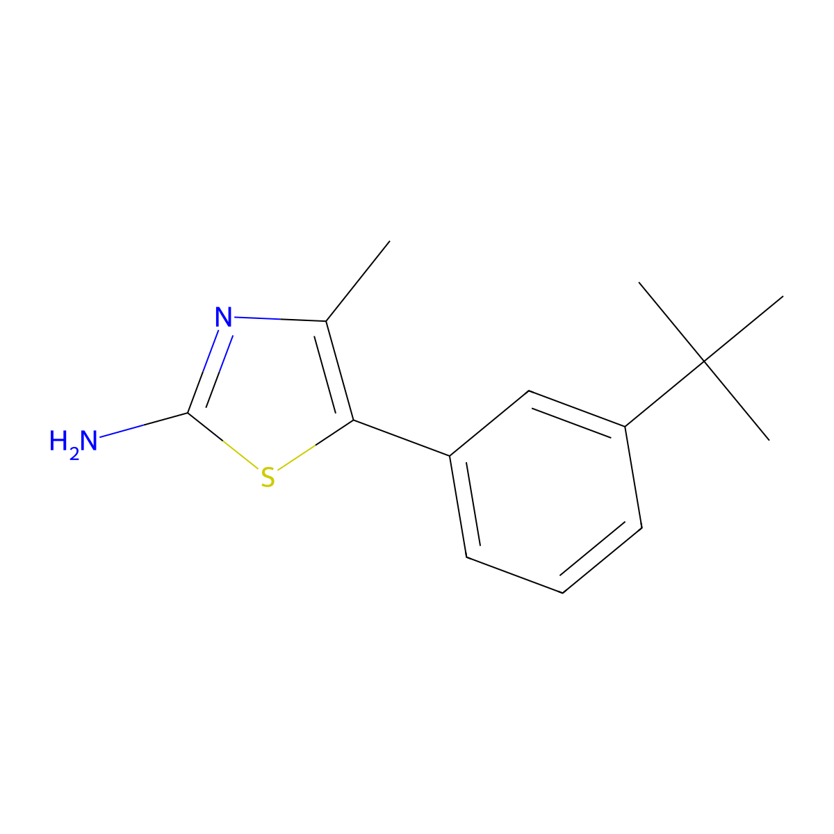 5-(3-Tert-butylphenyl)-4-methyl-1,3-thiazol-2-amine molecular structure, CAS 1163706-85-1