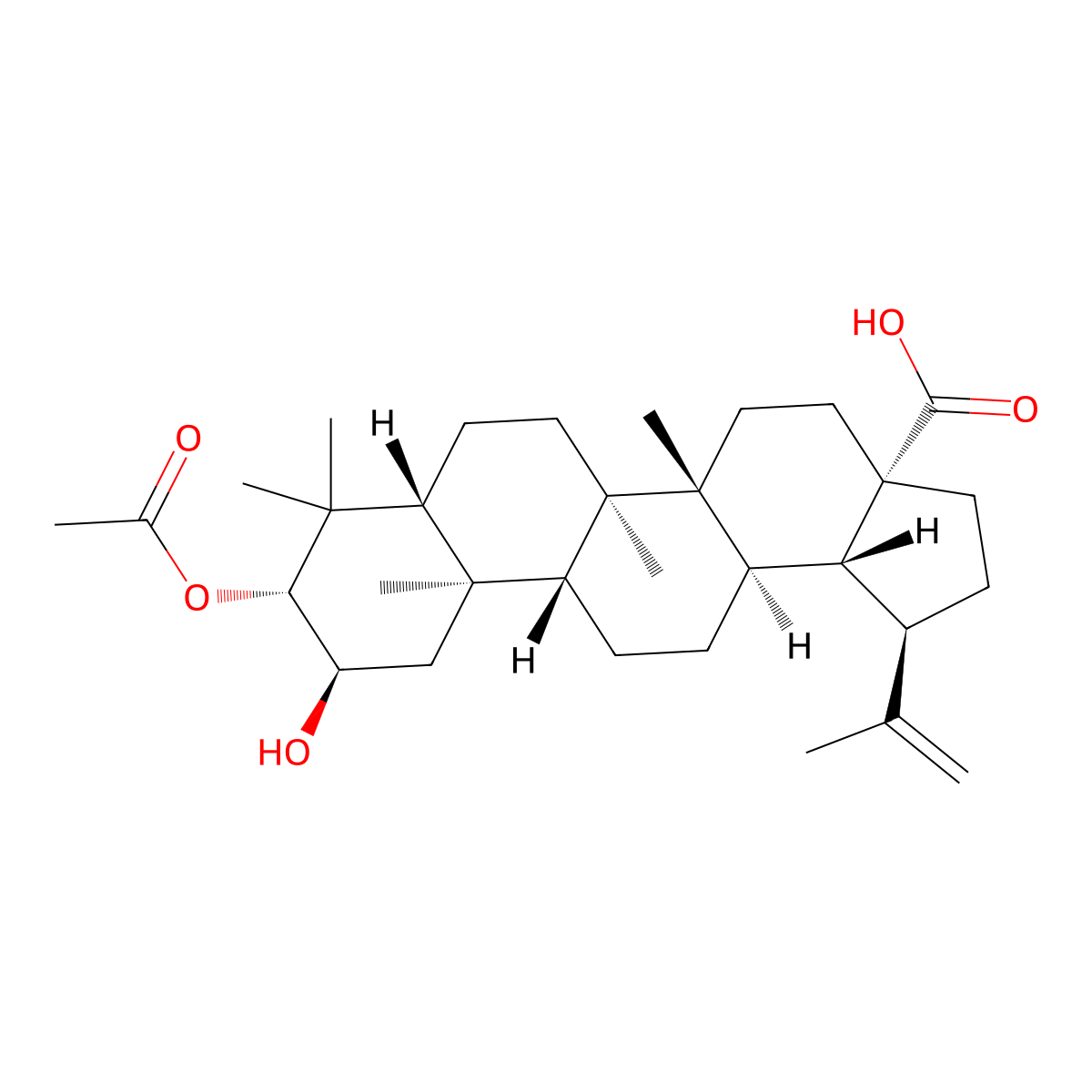 2alpha-Hydroxy-3beta-acetyloxy-betulic acid molecular structure, CAS 1163728-89-9