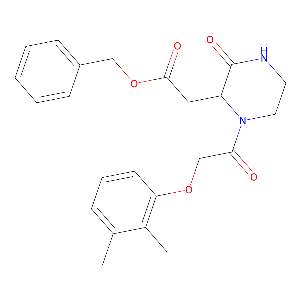 Benzyl {1-[(2,3-dimethylphenoxy)acetyl]-3-oxopiperazin-2-yl}acetate molecular structure, CAS 1167409-50-8