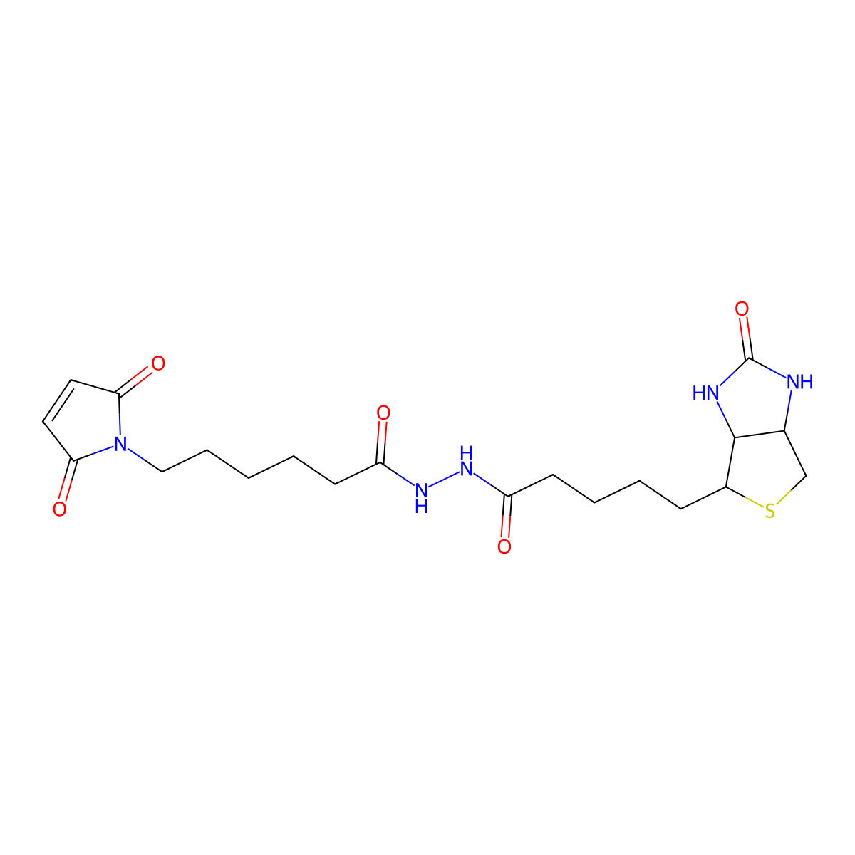 N-biotinoyl-N'-(maleimidohexanoyl)hydrazine molecular structure, CAS 116919-18-7