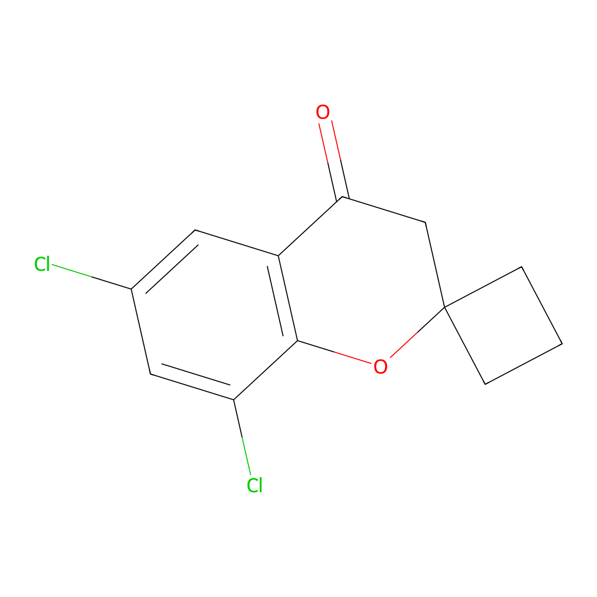 6,8-Dichlorospiro[chroman-2,1'-cyclobutan]-4-one molecular structure, CAS 1169847-93-1