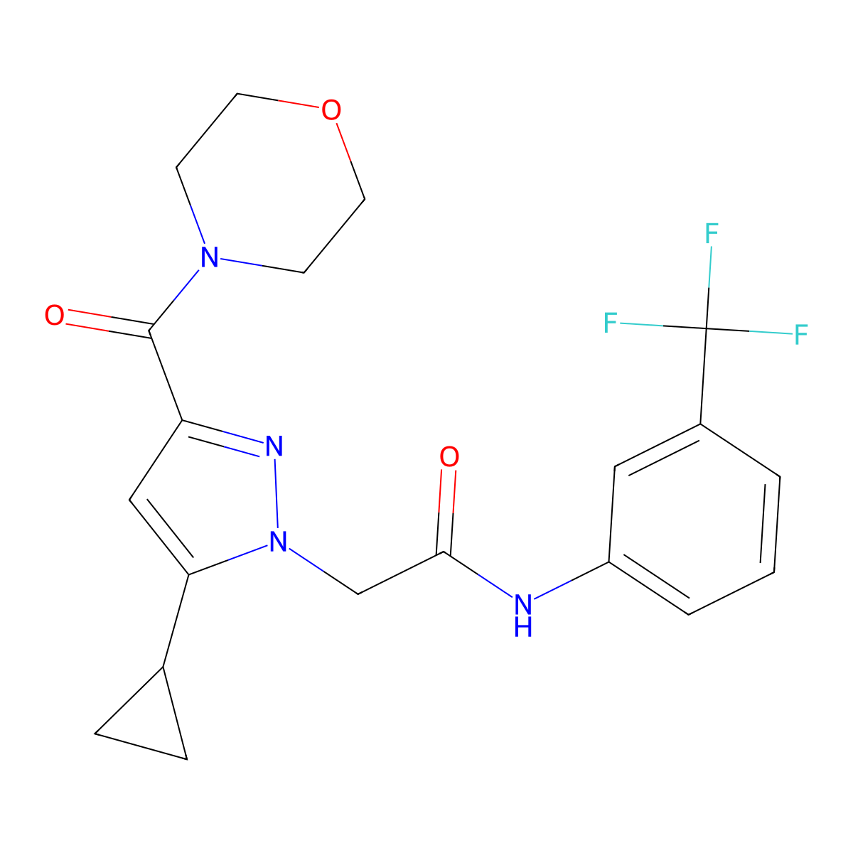 2-(5-cyclopropyl-3-(morpholine-4-carbonyl)-1H-pyrazol-1-yl)-N-(3-(trifluoromethyl)phenyl)acetamide molecular structure, CAS 1169950-11-1