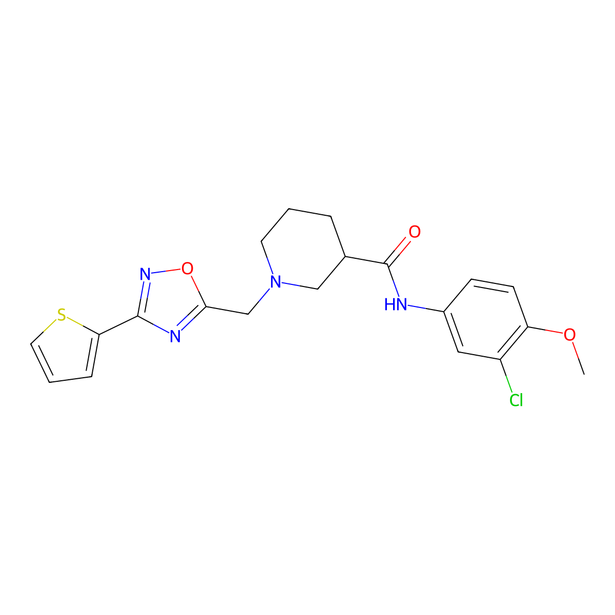 N-(3-chloro-4-methoxyphenyl)-1-((3-(thiophen-2-yl)-1,2,4-oxadiazol-5-yl)methyl)piperidine-3-carboxamide molecular structure, CAS 1170018-01-5