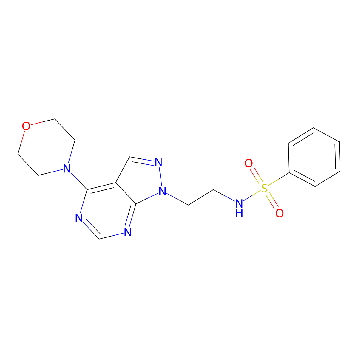 N-(2-(4-morpholino-1H-pyrazolo[3,4-d]pyrimidin-1-yl)ethyl)benzenesulfonamide molecular structure, CAS 1170167-73-3