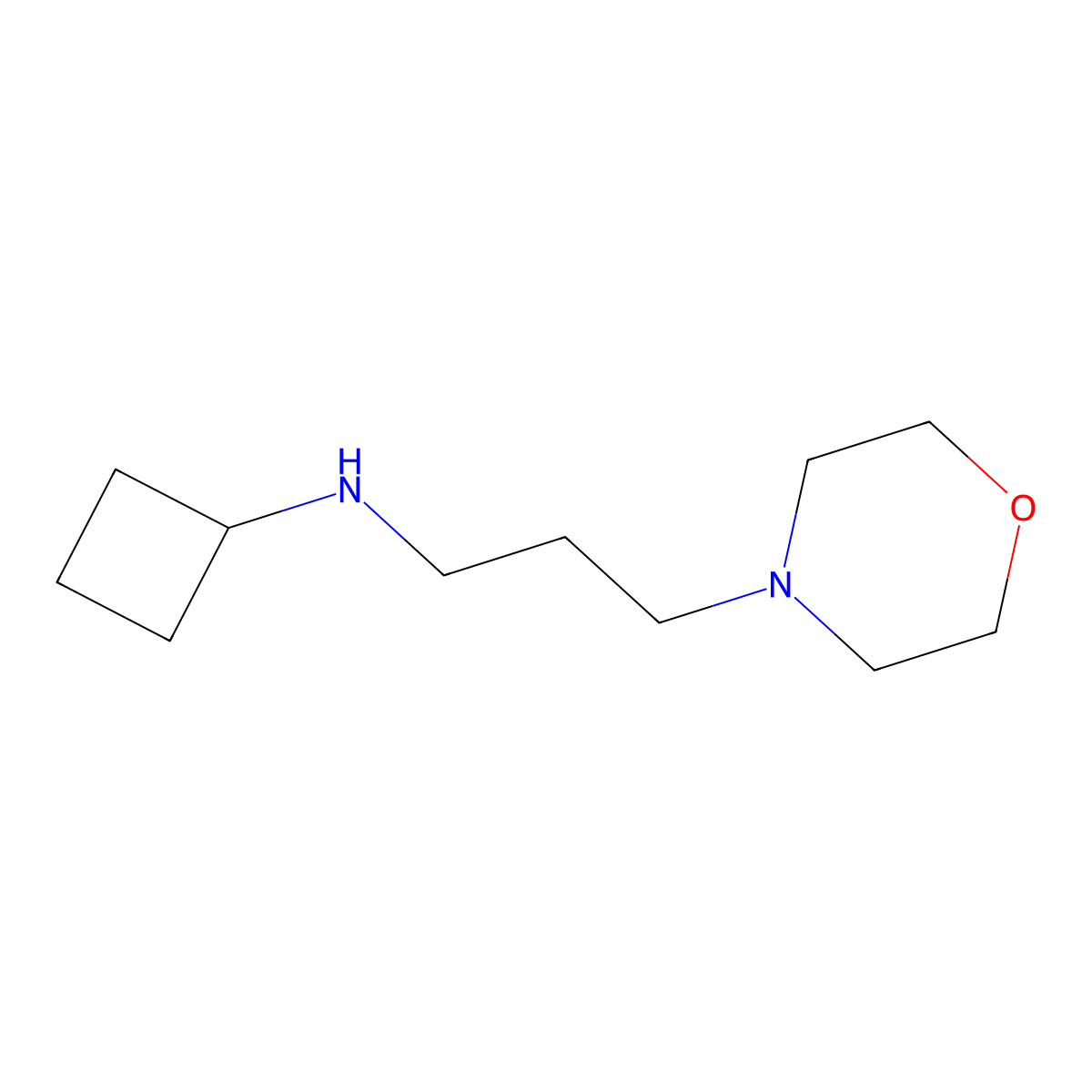 N-(3-morpholinopropyl)cyclobutanamine molecular structure, CAS 1170233-42-7