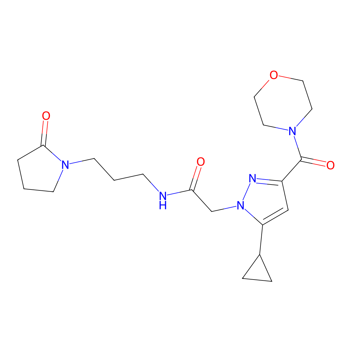 2-[5-cyclopropyl-3-(morpholine-4-carbonyl)-1H-pyrazol-1-yl]-N-[3-(2-oxopyrrolidin-1-yl)propyl]acetamide molecular structure, CAS 1170526-48-3