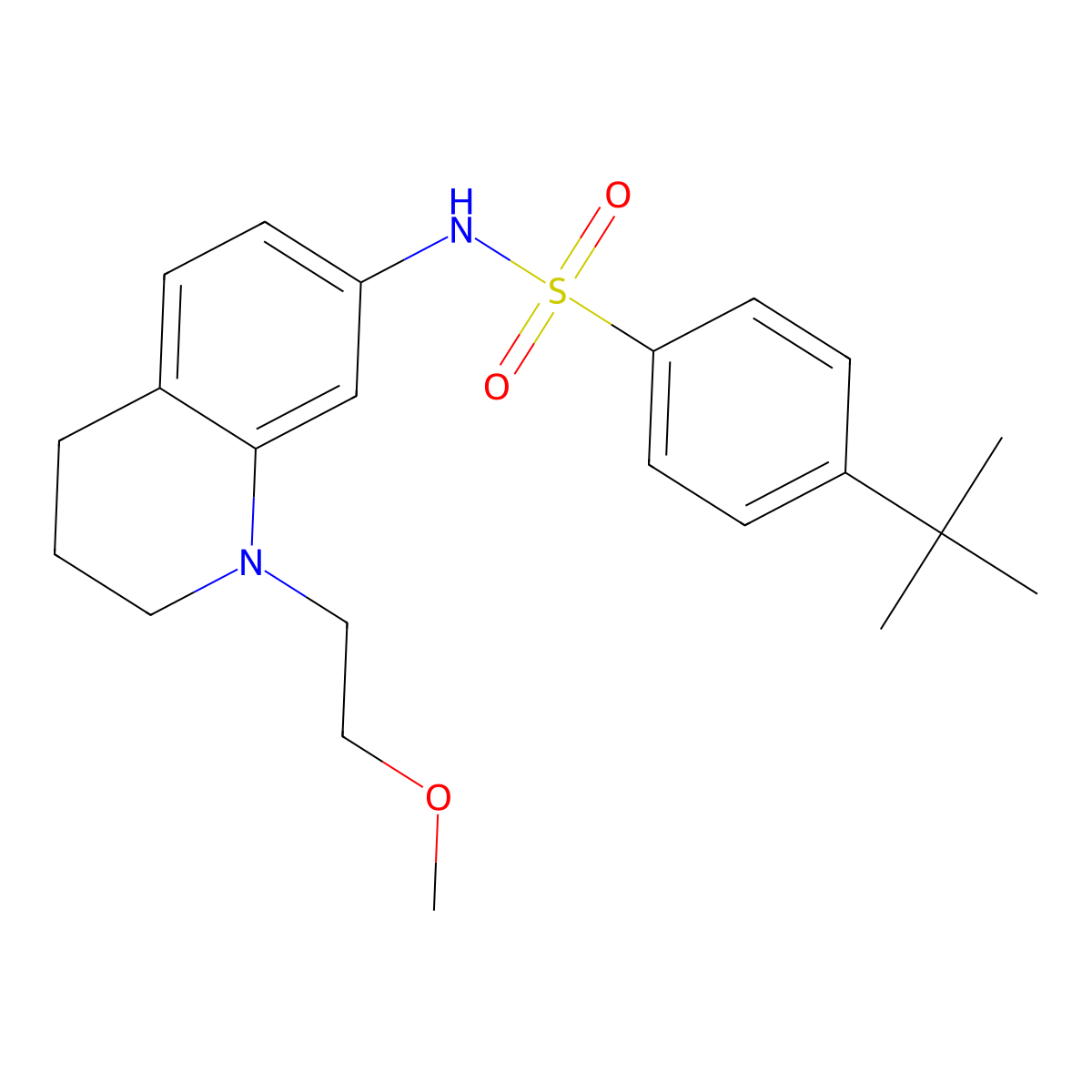 4-(tert-butyl)-N-(1-(2-methoxyethyl)-1,2,3,4-tetrahydroquinolin-7-yl)benzenesulfonamide molecular structure, CAS 1170530-03-6