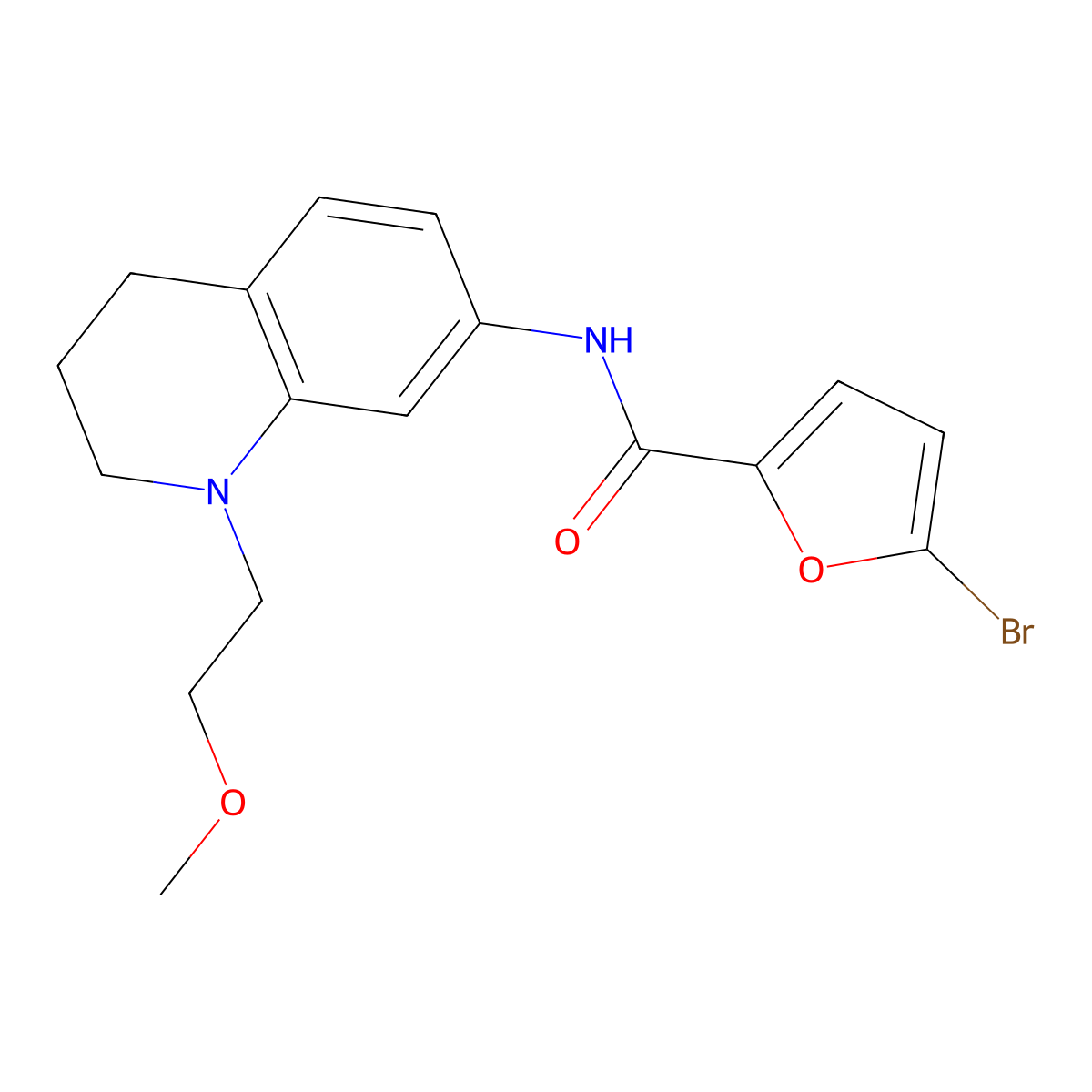 5-bromo-N-[1-(2-methoxyethyl)-1,2,3,4-tetrahydroquinolin-7-yl]furan-2-carboxamide molecular structure, CAS 1170937-46-8