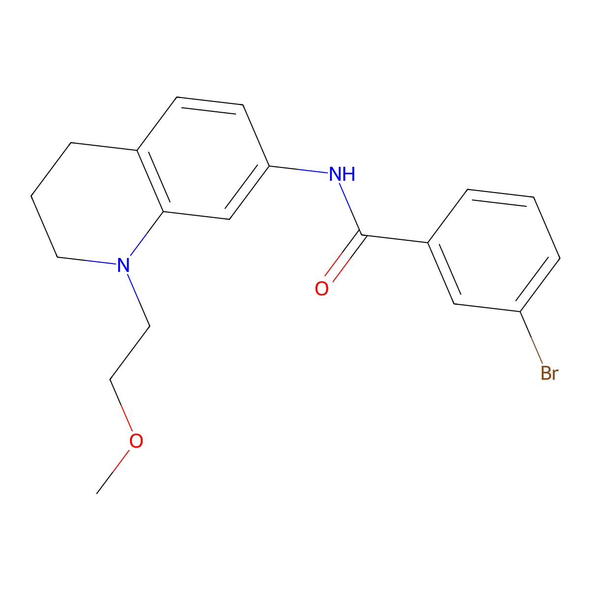3-bromo-N-(1-(2-methoxyethyl)-1,2,3,4-tetrahydroquinolin-7-yl)benzamide molecular structure, CAS 1171061-26-9