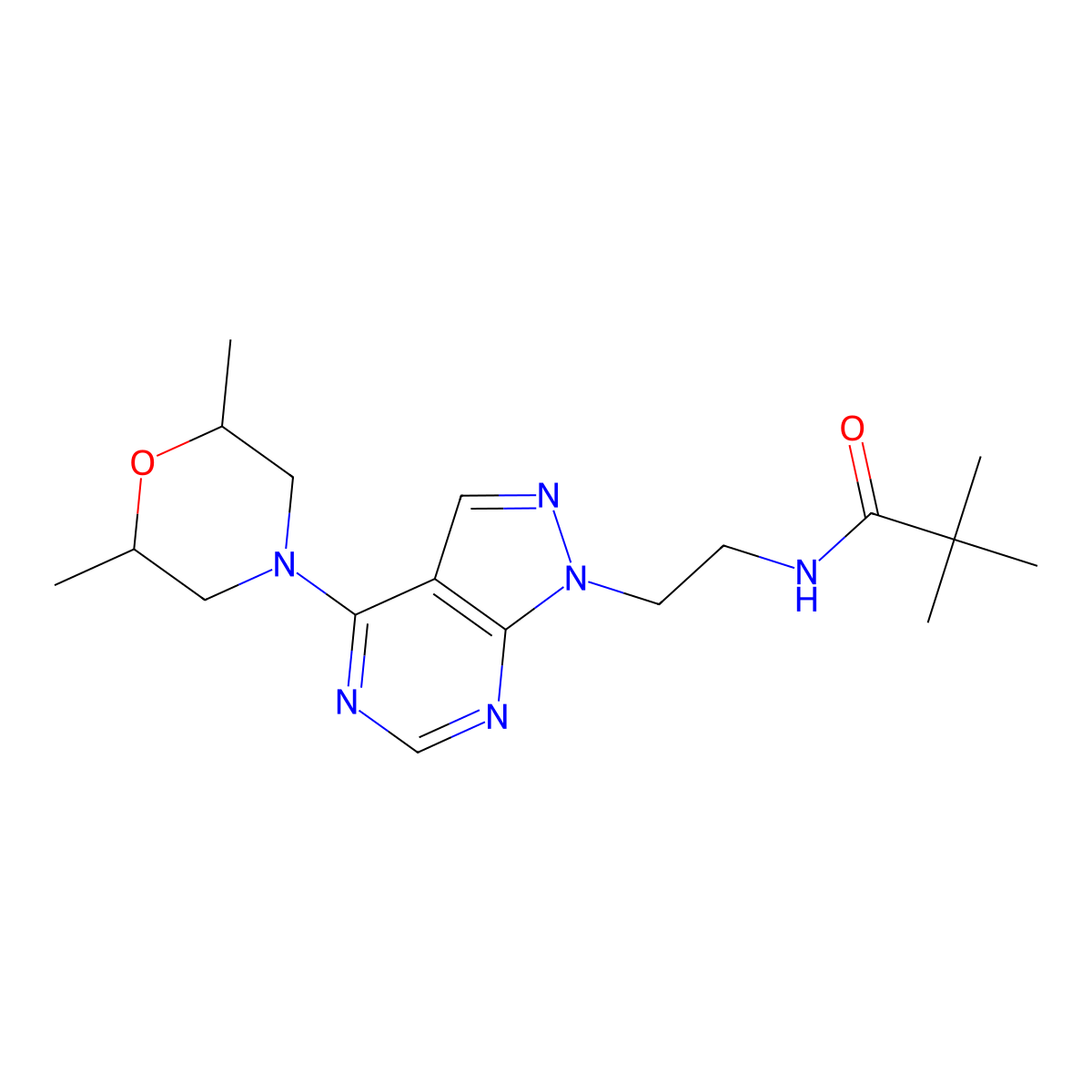 N-(2-(4-(2,6-dimethylmorpholino)-1H-pyrazolo[3,4-d]pyrimidin-1-yl)ethyl)pivalamide molecular structure, CAS 1171582-16-3