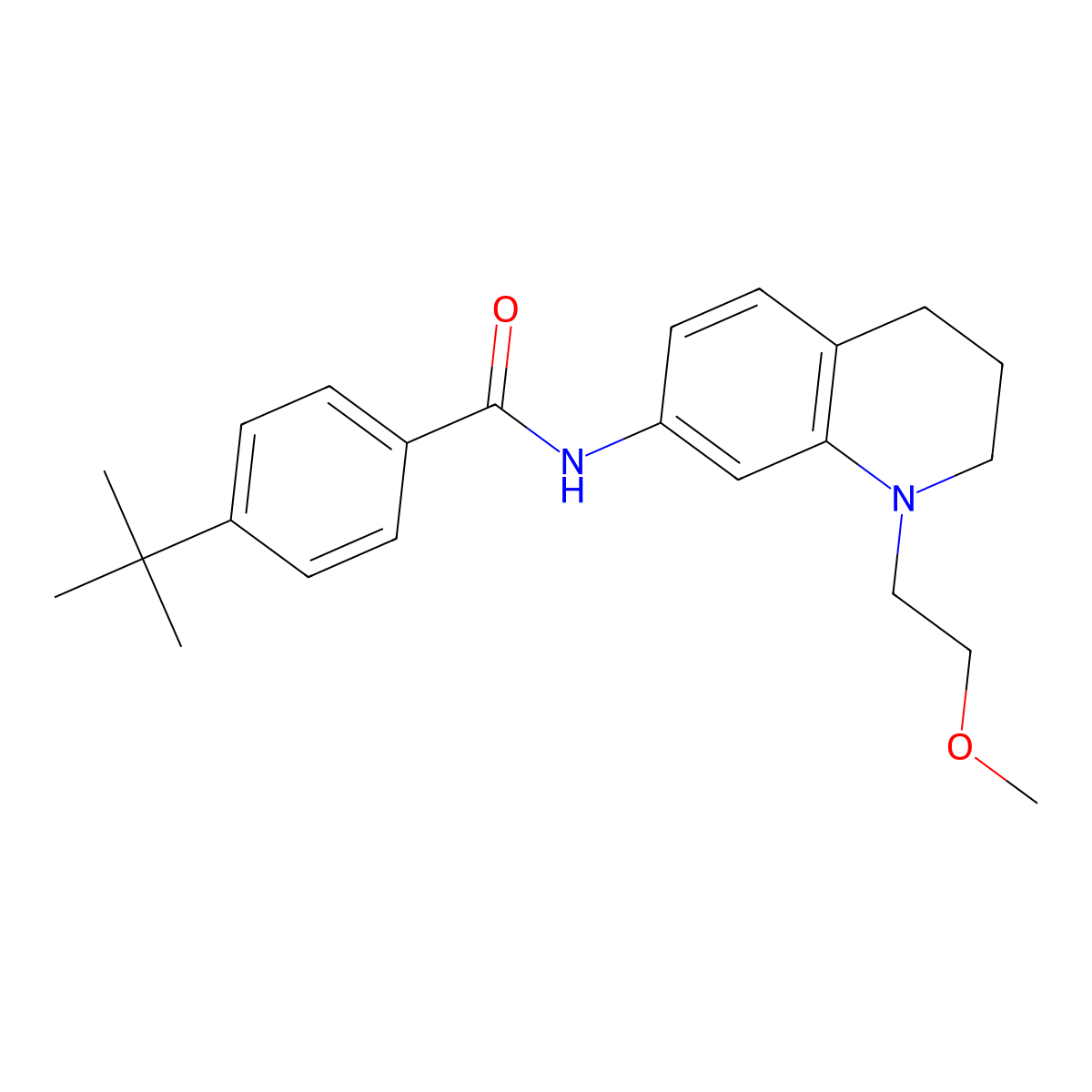 4-(tert-butyl)-N-(1-(2-methoxyethyl)-1,2,3,4-tetrahydroquinolin-7-yl)benzamide molecular structure, CAS 1172014-51-5