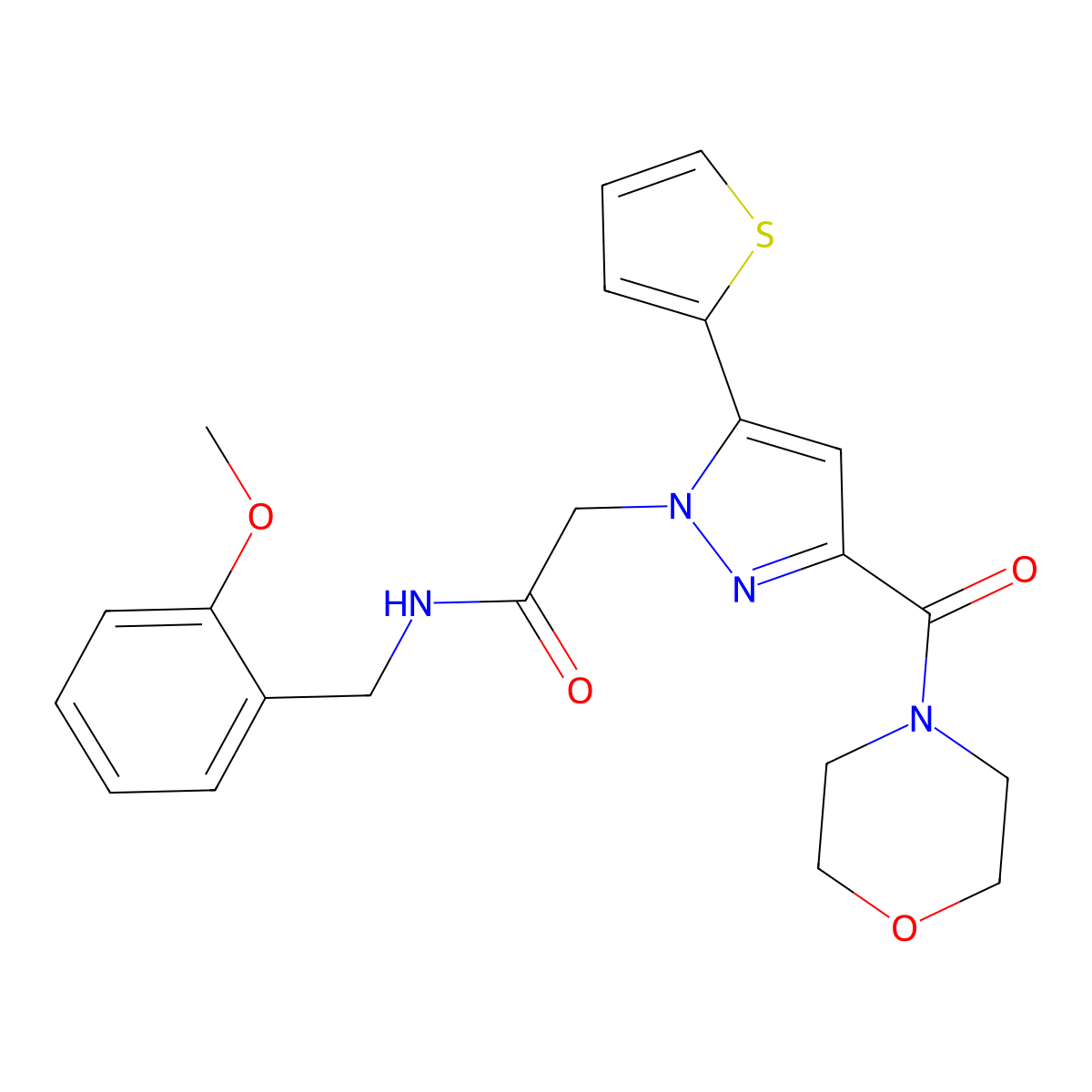 N-(2-methoxybenzyl)-2-(3-(morpholine-4-carbonyl)-5-(thiophen-2-yl)-1H-pyrazol-1-yl)acetamide molecular structure, CAS 1172341-86-4