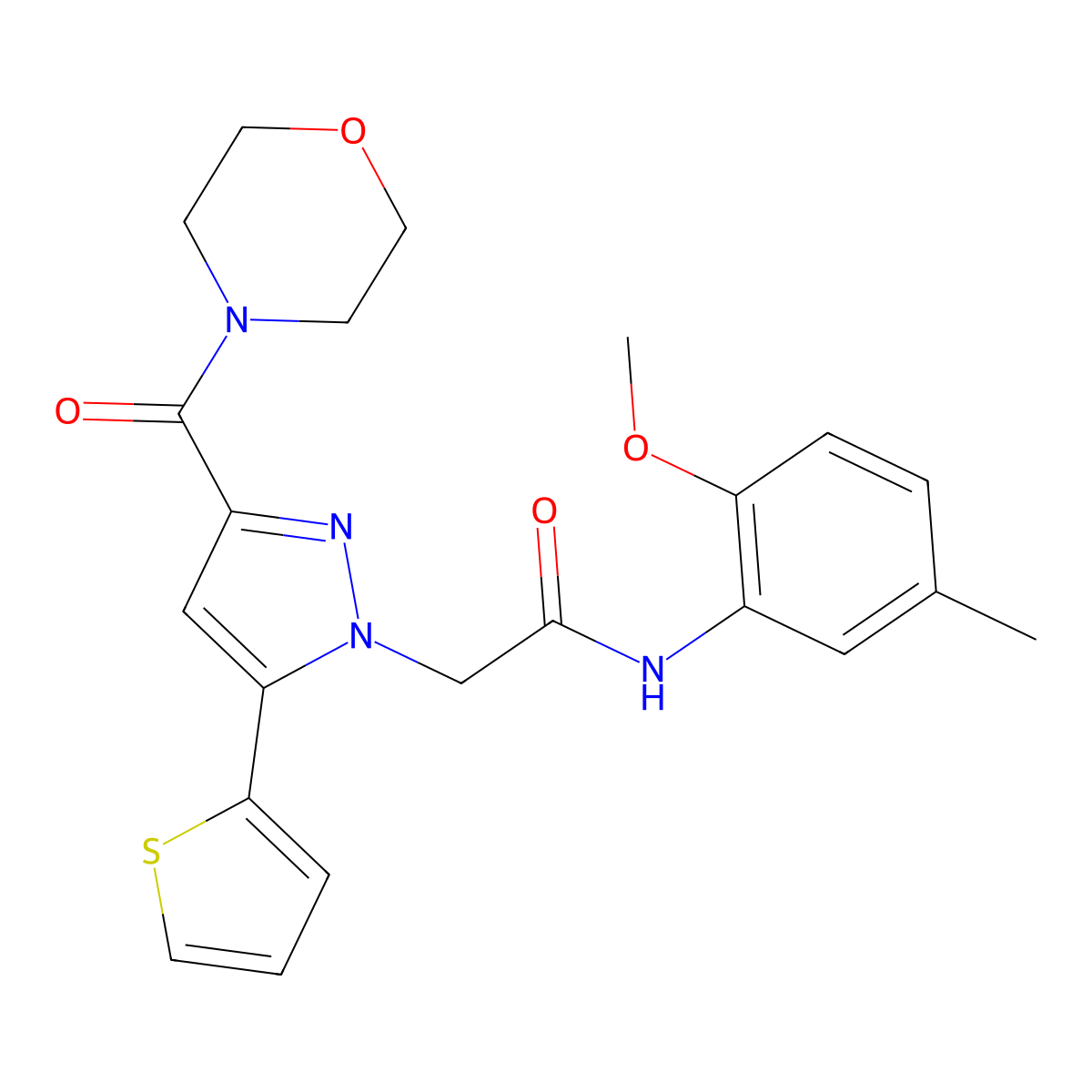 N-(2-methoxy-5-methylphenyl)-2-(3-(morpholine-4-carbonyl)-5-(thiophen-2-yl)-1H-pyrazol-1-yl)acetamide molecular structure, CAS 1172414-88-8
