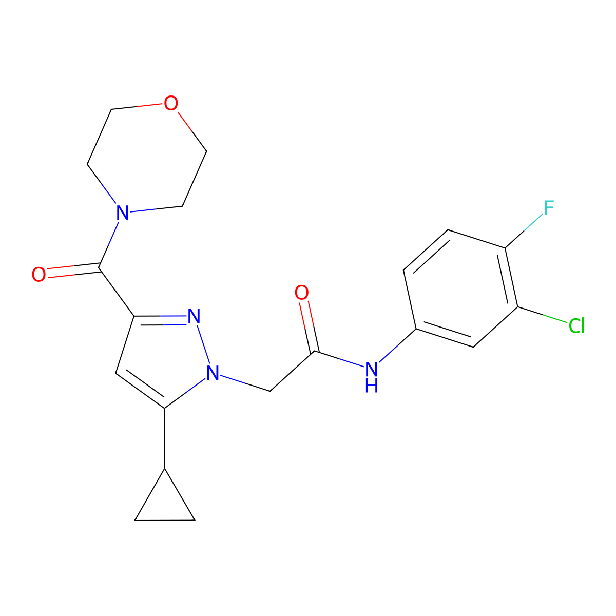N-(3-chloro-4-fluorophenyl)-2-(5-cyclopropyl-3-(morpholine-4-carbonyl)-1H-pyrazol-1-yl)acetamide molecular structure, CAS 1172474-47-3